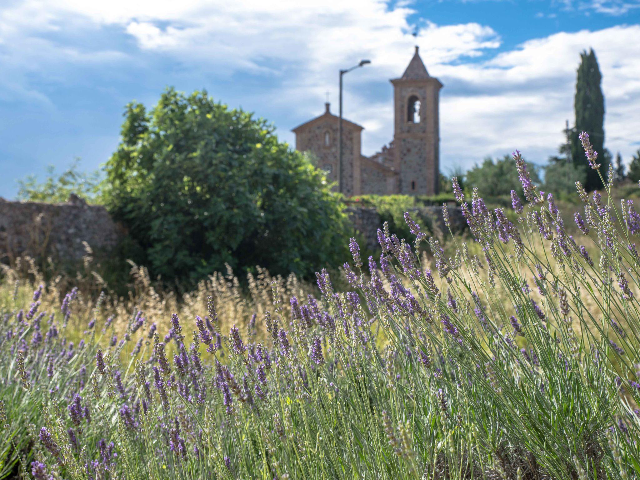 Photo 52 - 4 bedroom House in Civitella Paganico with private pool and garden