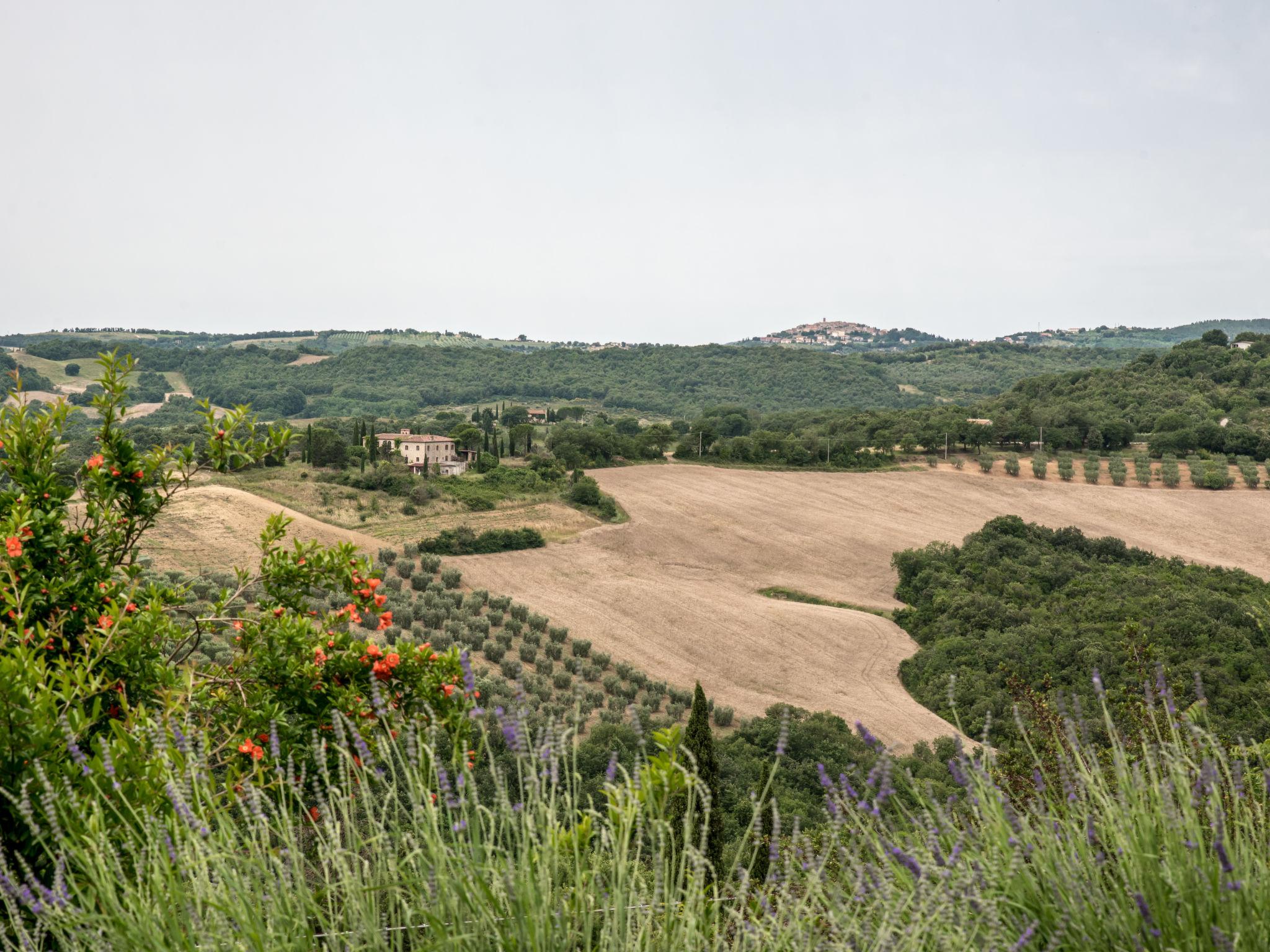 Foto 53 - Casa de 4 habitaciones en Civitella Paganico con piscina privada y jardín