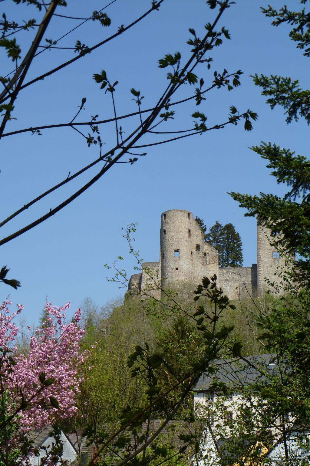 Foto 44 - Casa de 3 quartos em Schönecken com jardim e vista para a montanha