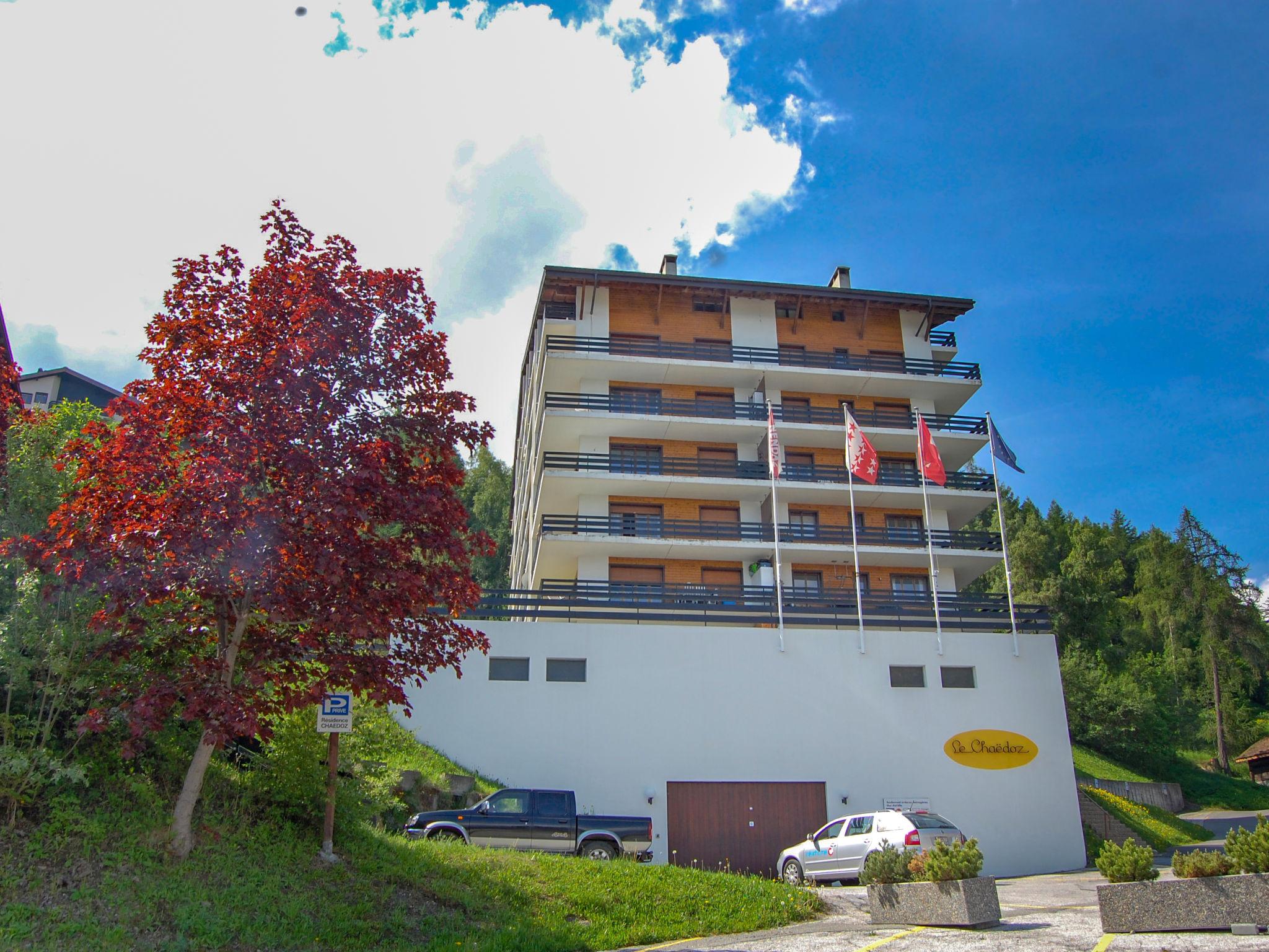 Foto 30 - Apartamento de 2 quartos em Nendaz com vista para a montanha