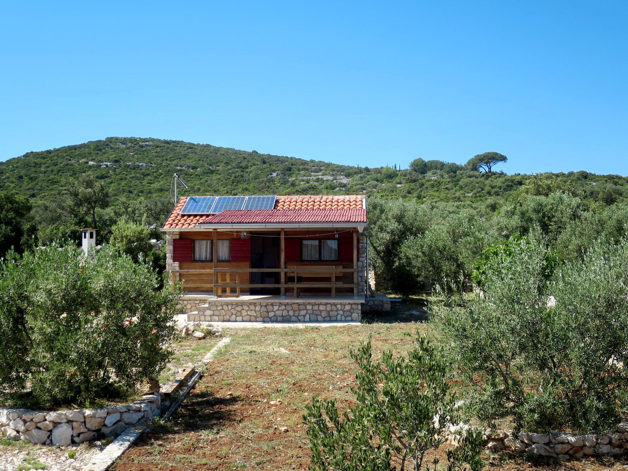 Foto 3 - Haus mit 1 Schlafzimmer in Pašman mit garten und terrasse