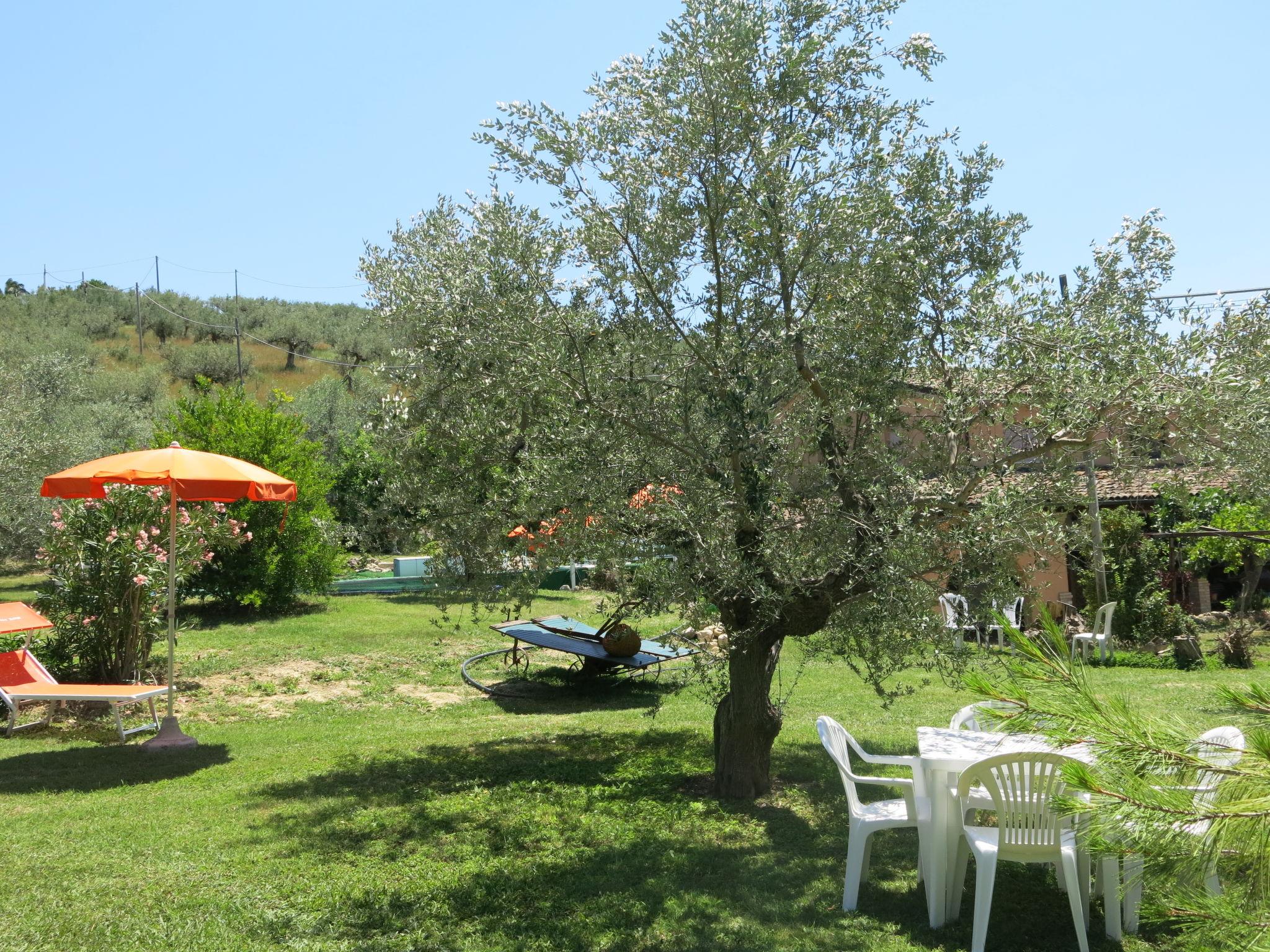 Photo 22 - 1 bedroom Apartment in Collecorvino with swimming pool and garden
