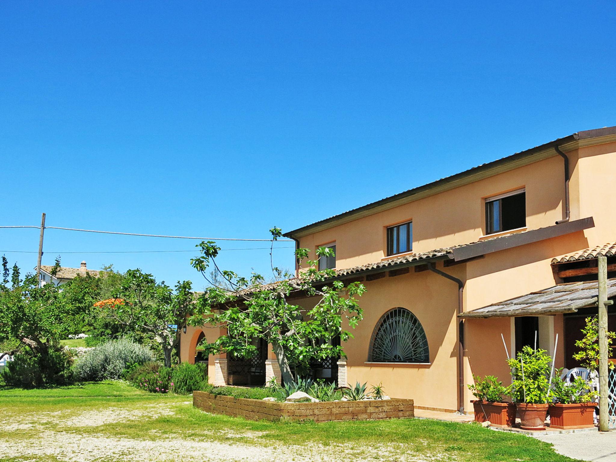 Foto 16 - Appartamento con 3 camere da letto a Collecorvino con piscina e giardino