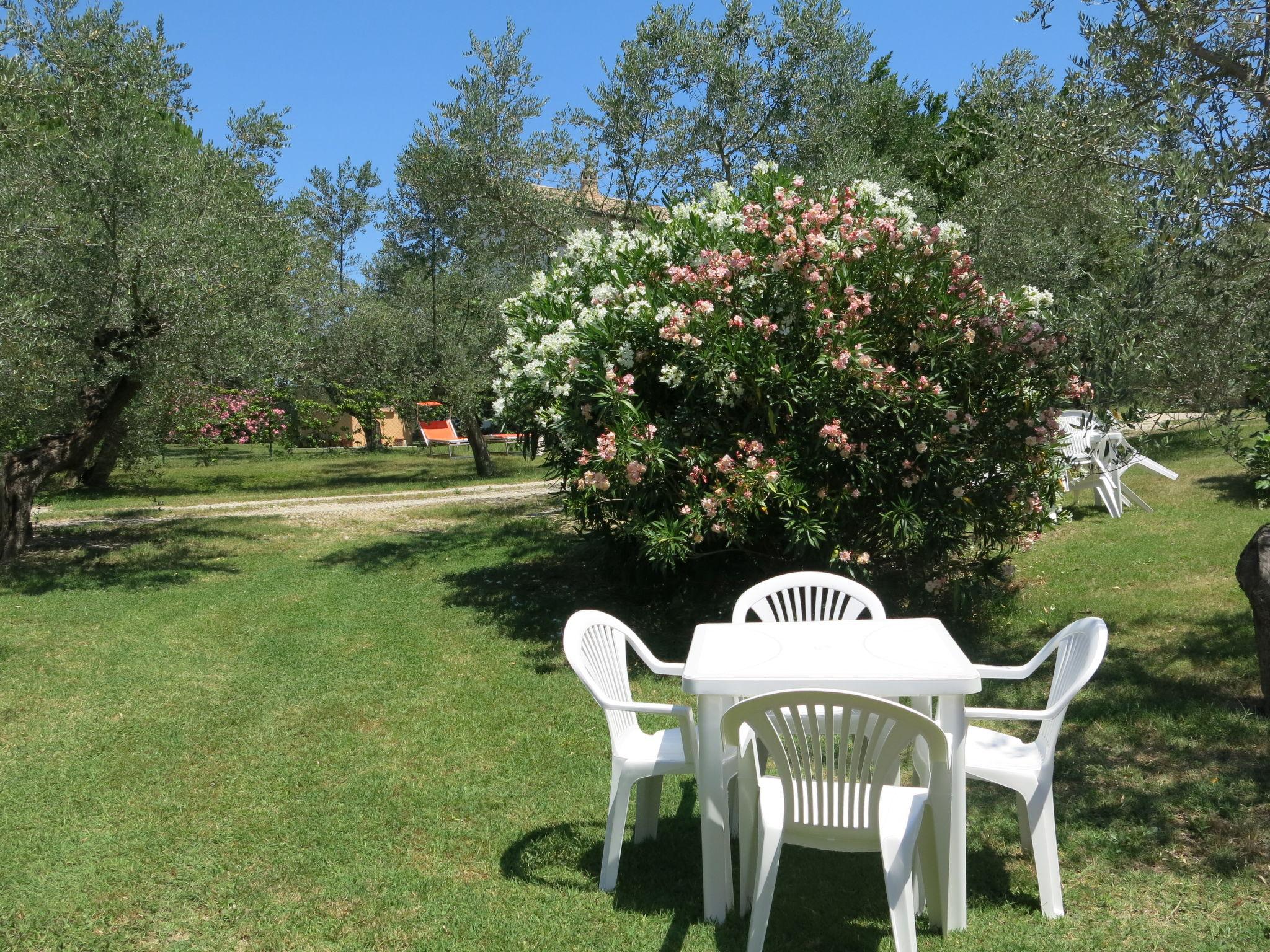 Photo 21 - 1 bedroom Apartment in Collecorvino with swimming pool and garden