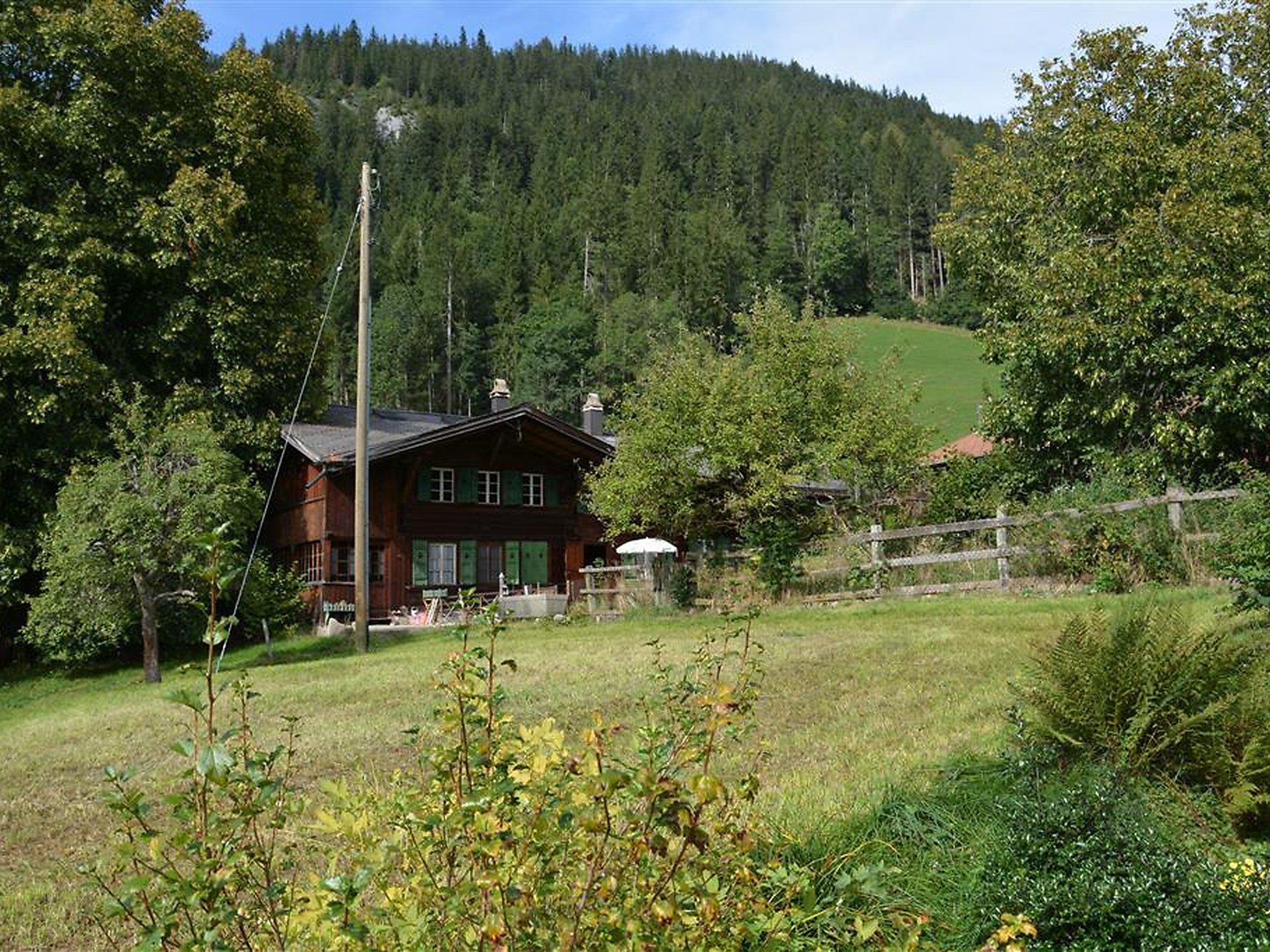 Photo 7 - Appartement de 1 chambre à Zweisimmen