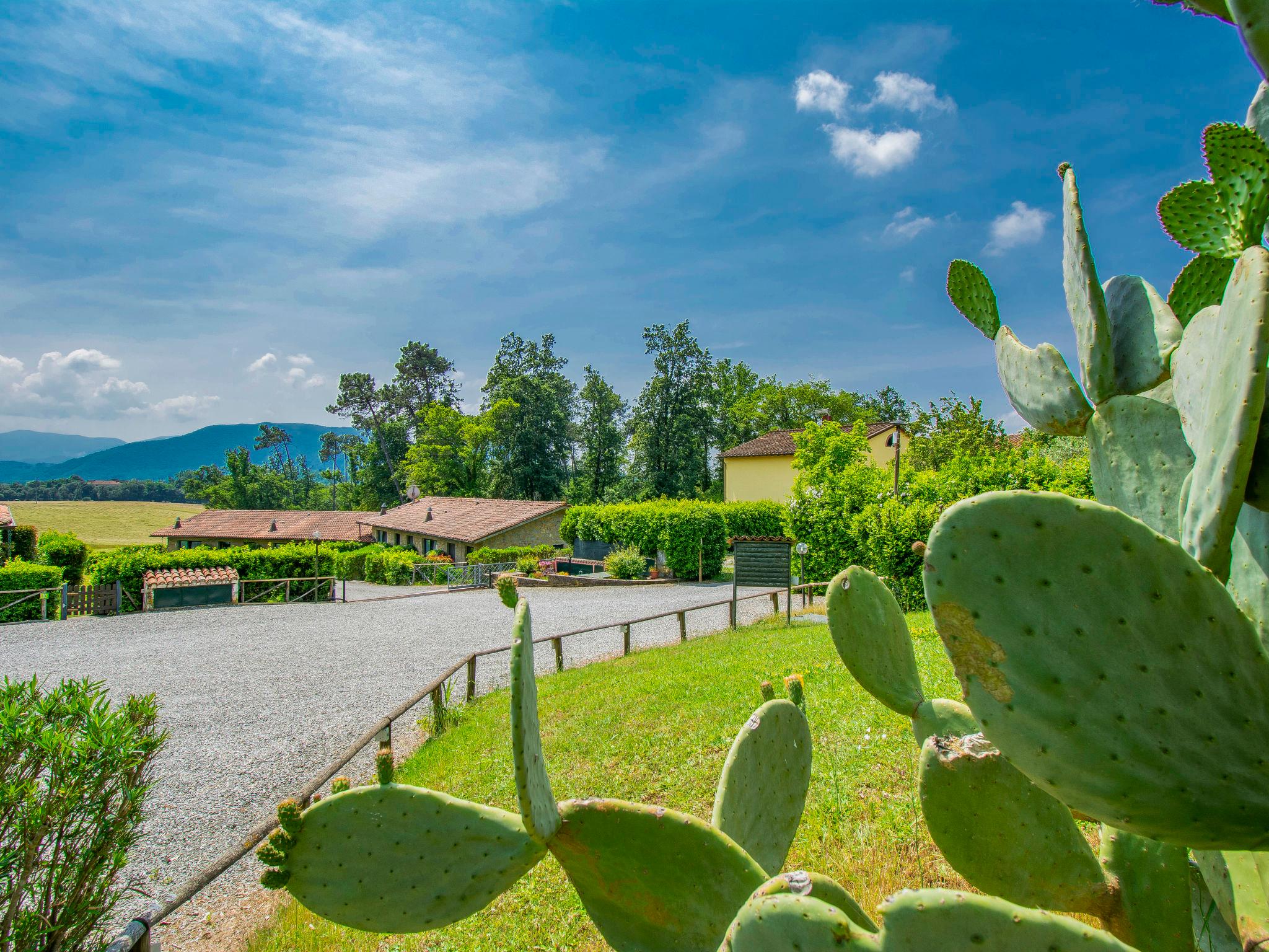 Foto 1 - Casa con 2 camere da letto a Lucca con piscina e giardino