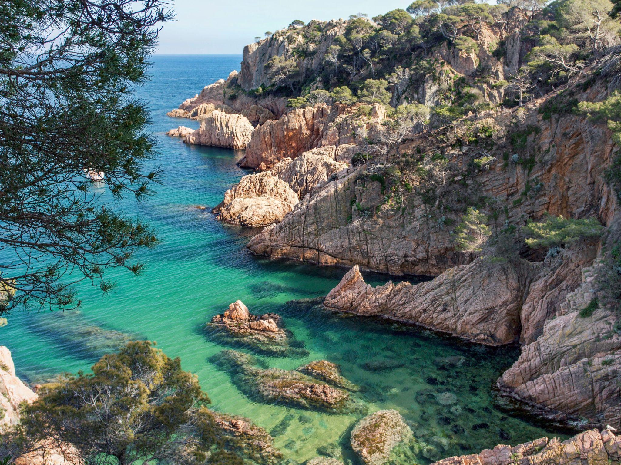 Photo 10 - Appartement de 2 chambres à Castell-Platja d'Aro avec jardin et vues à la mer