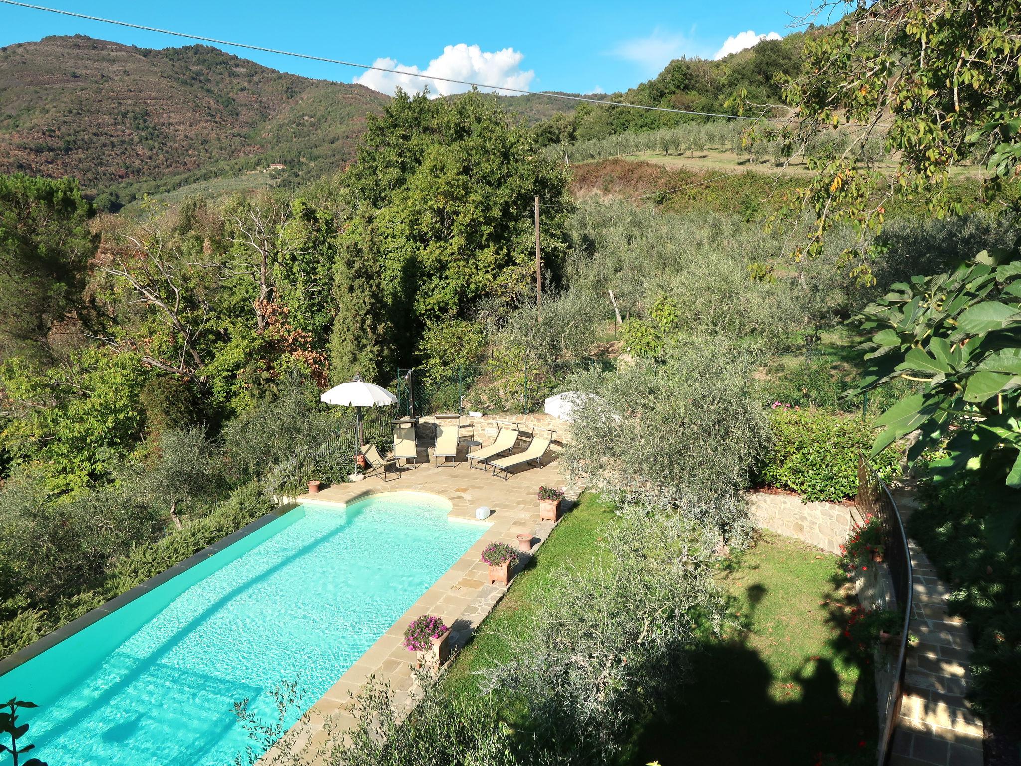 Foto 41 - Casa de 3 habitaciones en Castiglion Fiorentino con piscina privada y jardín