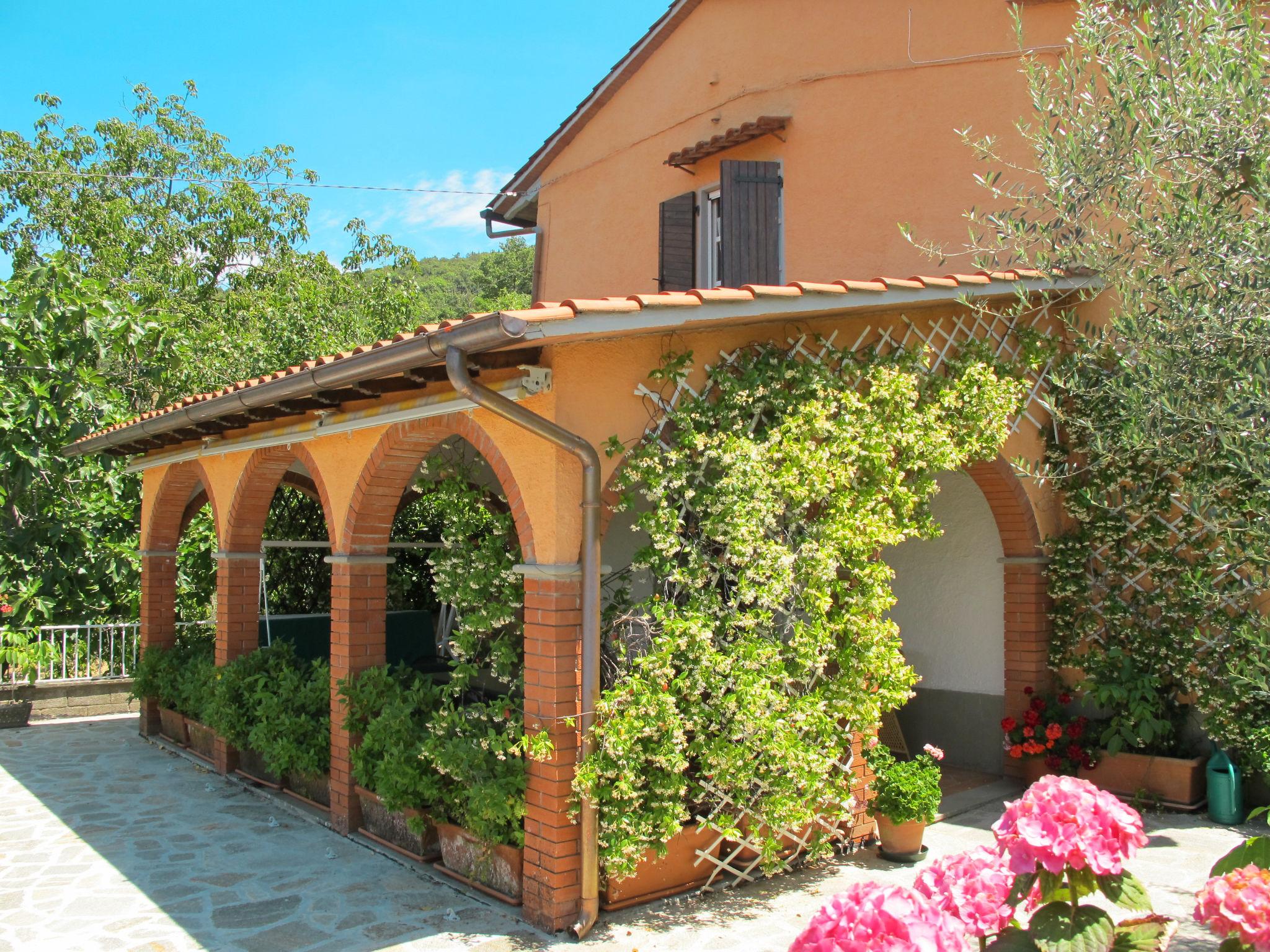 Foto 2 - Casa de 3 habitaciones en Castiglion Fiorentino con piscina privada y jardín