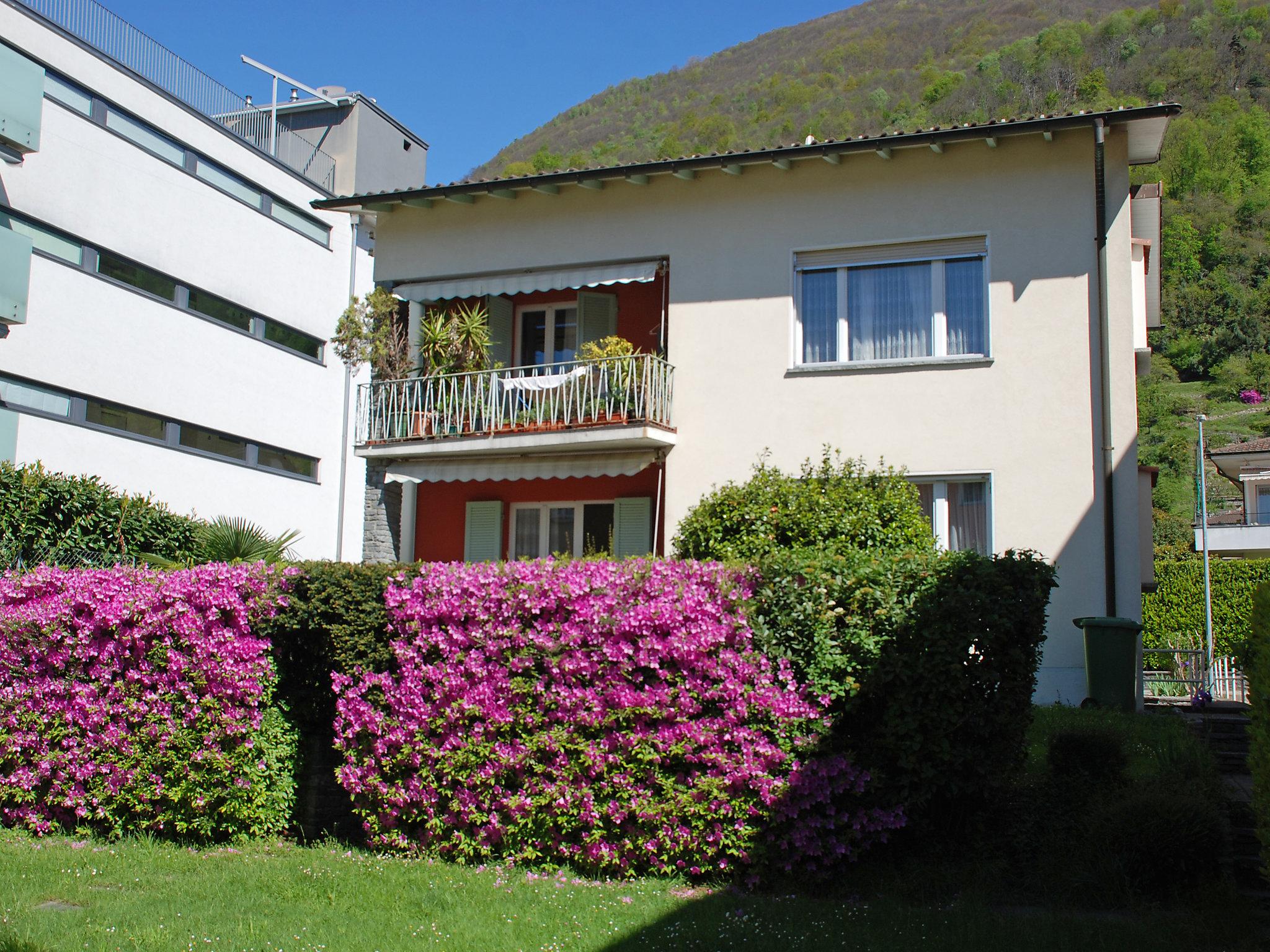 Foto 23 - Appartamento con 2 camere da letto a Locarno con giardino