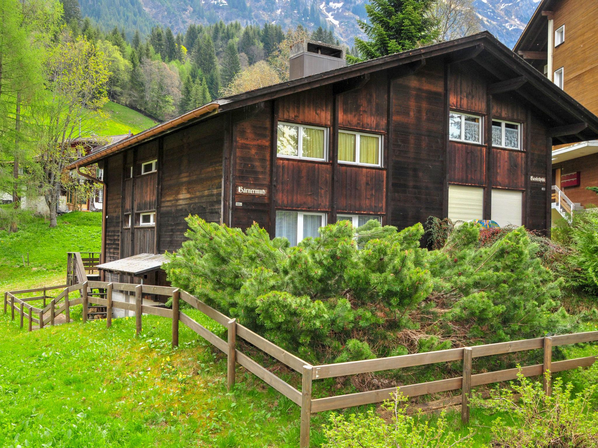 Foto 5 - Appartamento con 3 camere da letto a Lauterbrunnen con giardino e vista sulle montagne