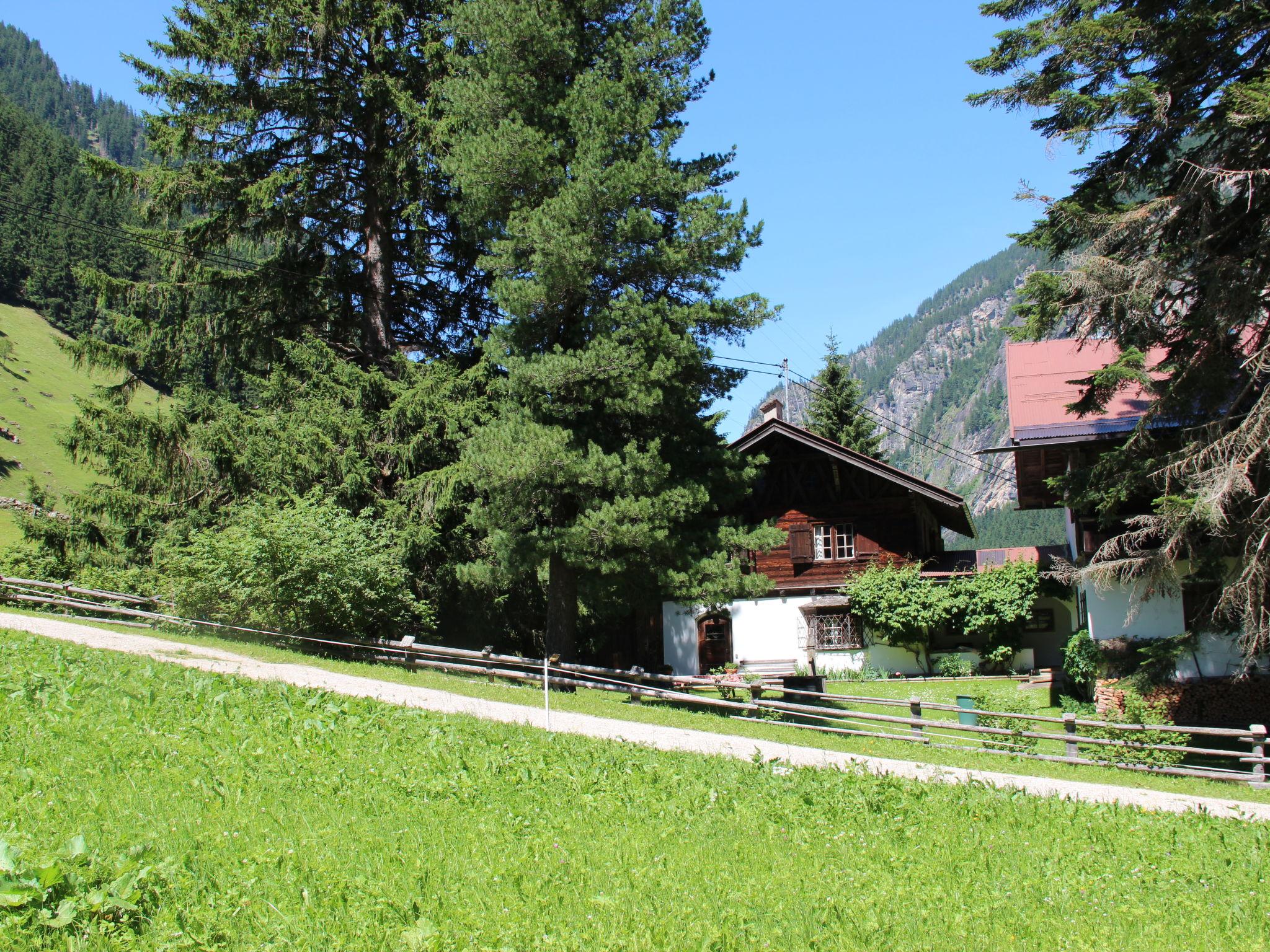 Foto 15 - Casa de 5 quartos em Finkenberg com jardim e vista para a montanha