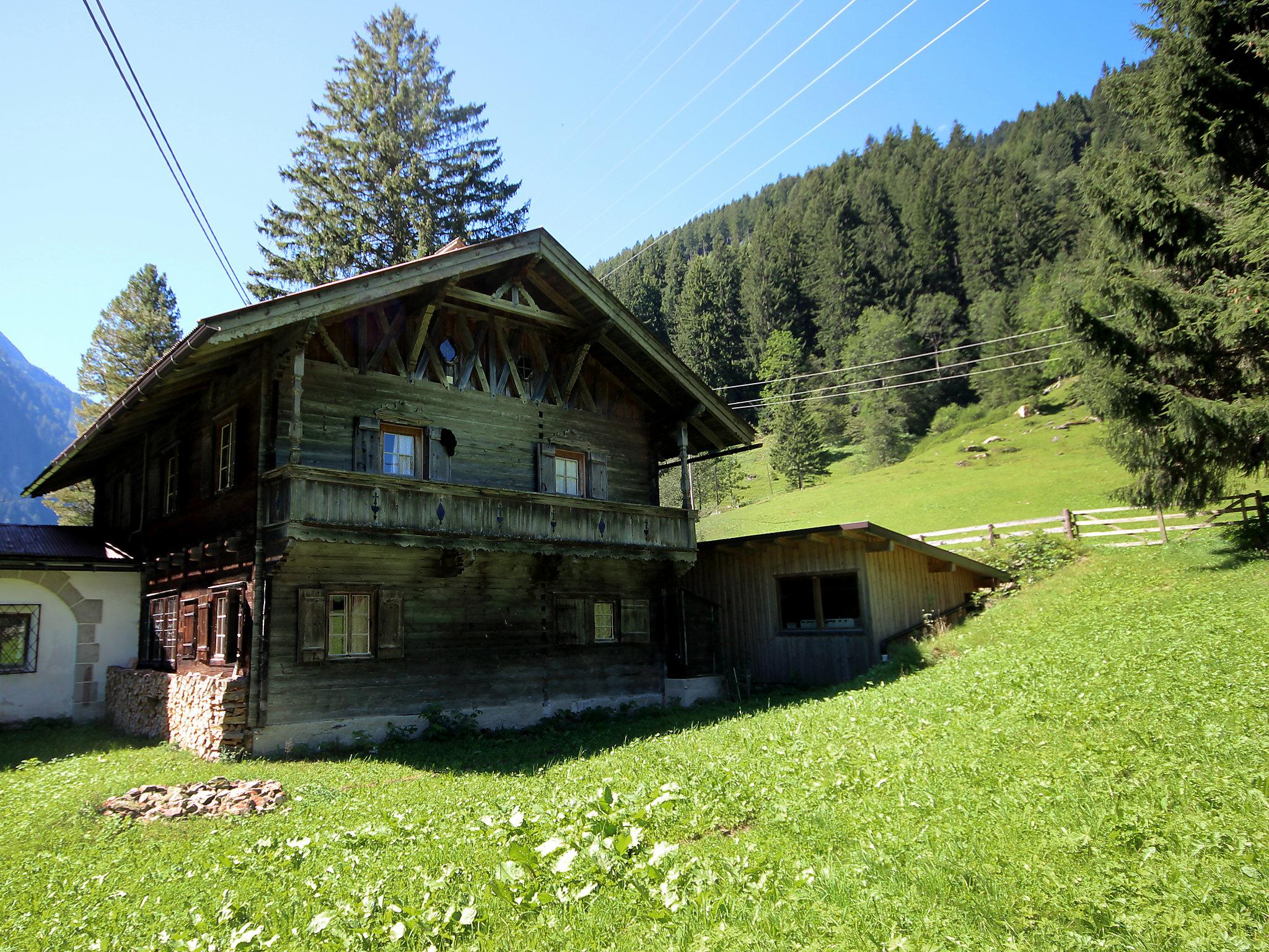 Foto 34 - Casa con 5 camere da letto a Finkenberg con giardino e vista sulle montagne