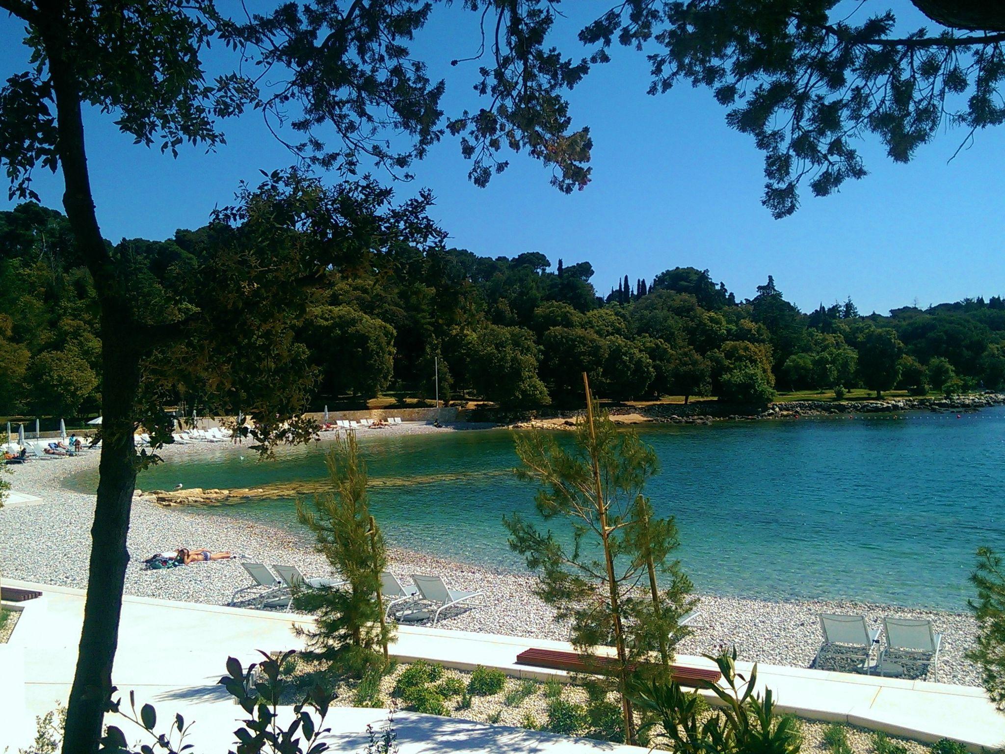 Photo 15 - Maison de 2 chambres à Svetvinčenat avec piscine privée et jardin