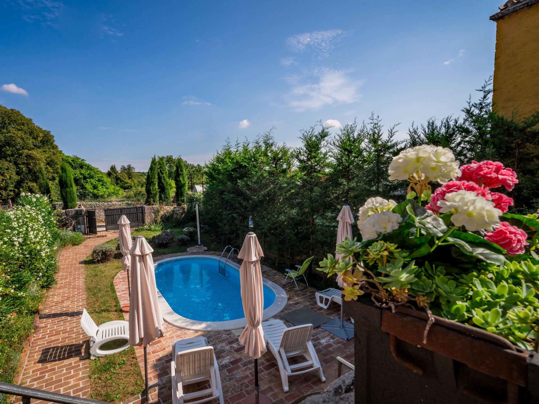 Photo 26 - Maison de 4 chambres à Svetvinčenat avec piscine privée et jardin