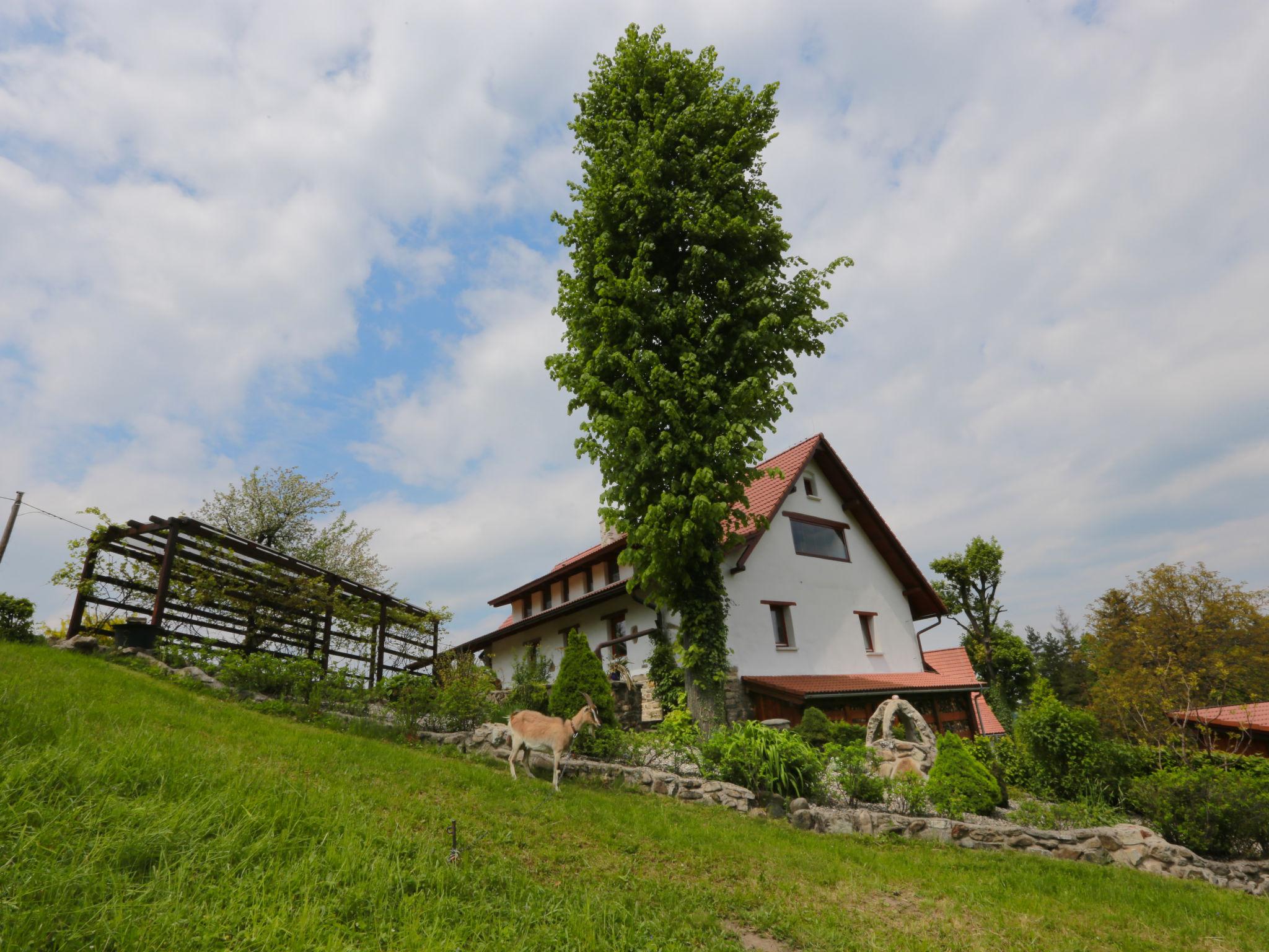 Photo 26 - Maison de 4 chambres à Lhotka avec jardin et terrasse