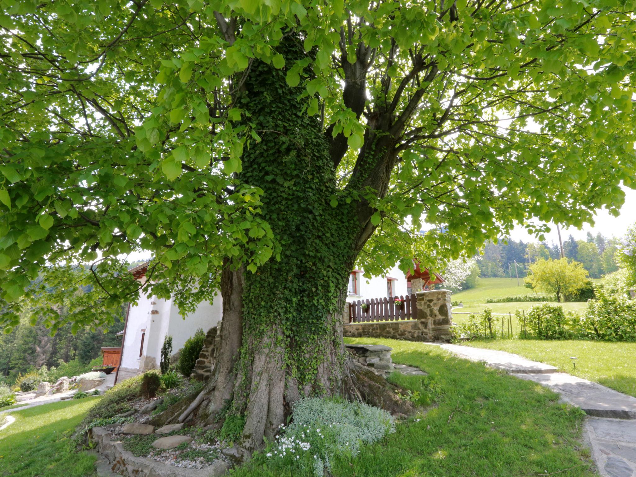 Photo 23 - Maison de 4 chambres à Lhotka avec jardin et terrasse