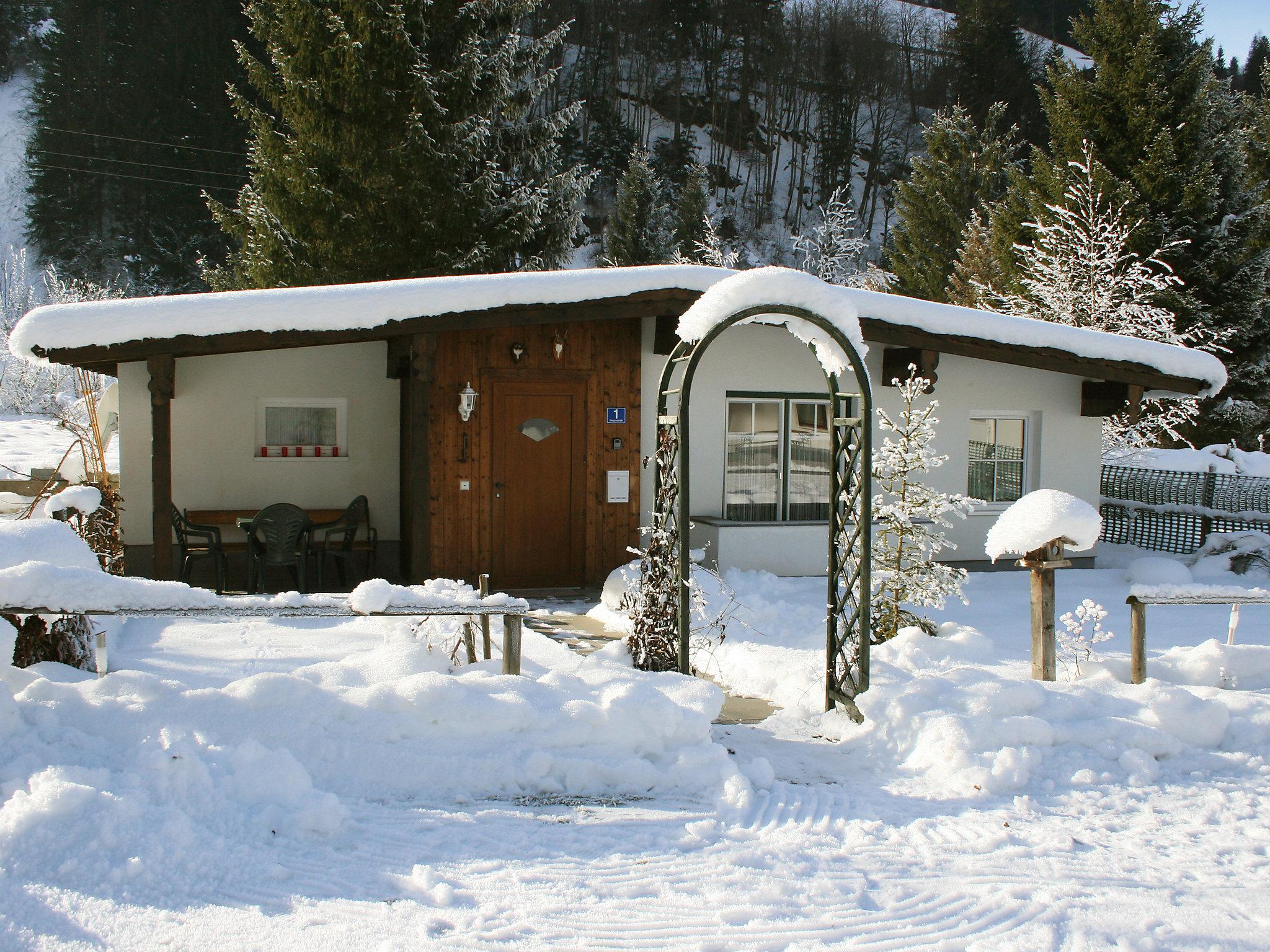 Foto 35 - Casa con 2 camere da letto a Bad Gastein con giardino e terrazza