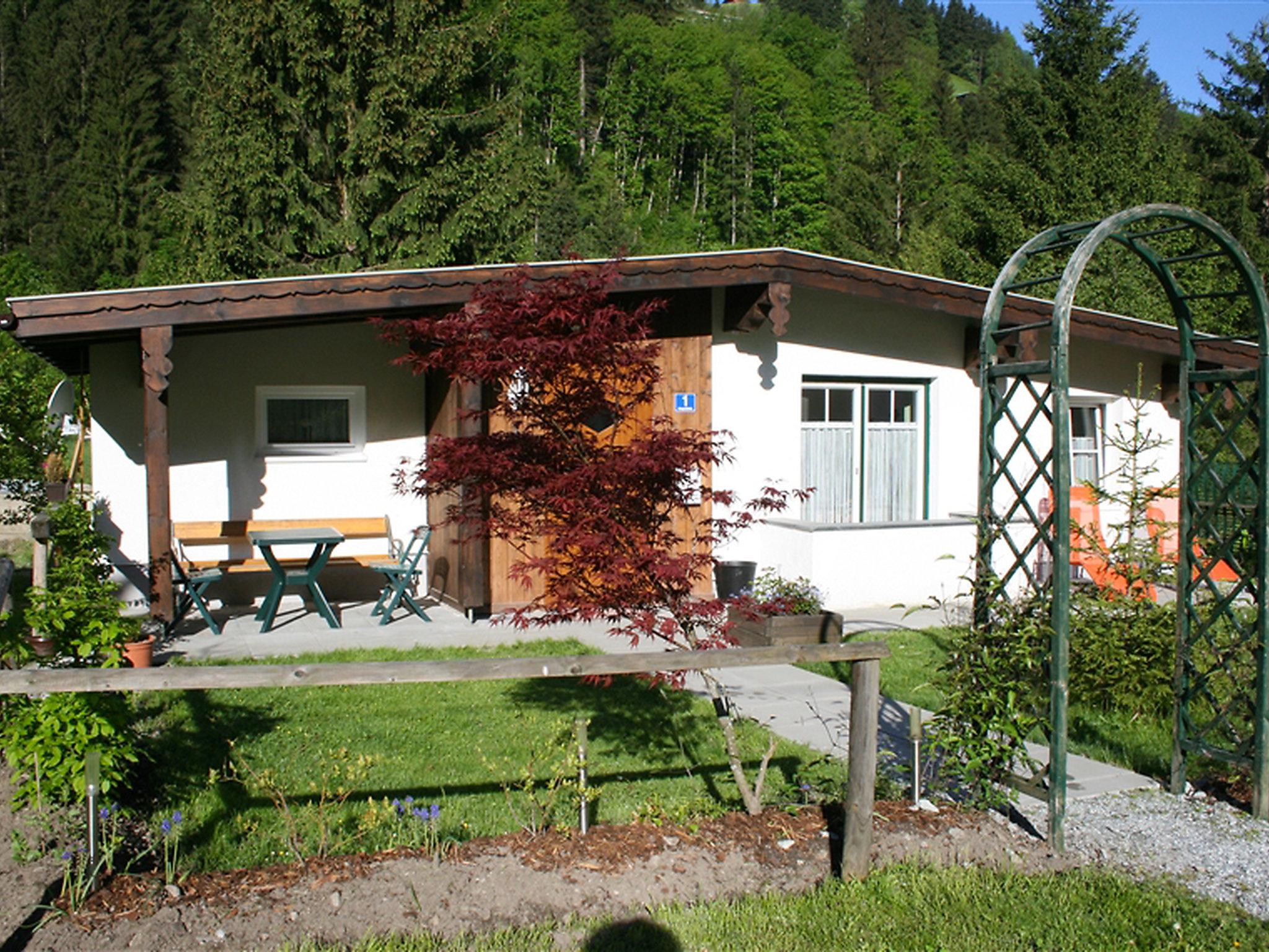 Foto 33 - Casa de 2 habitaciones en Bad Gastein con terraza y vistas a la montaña