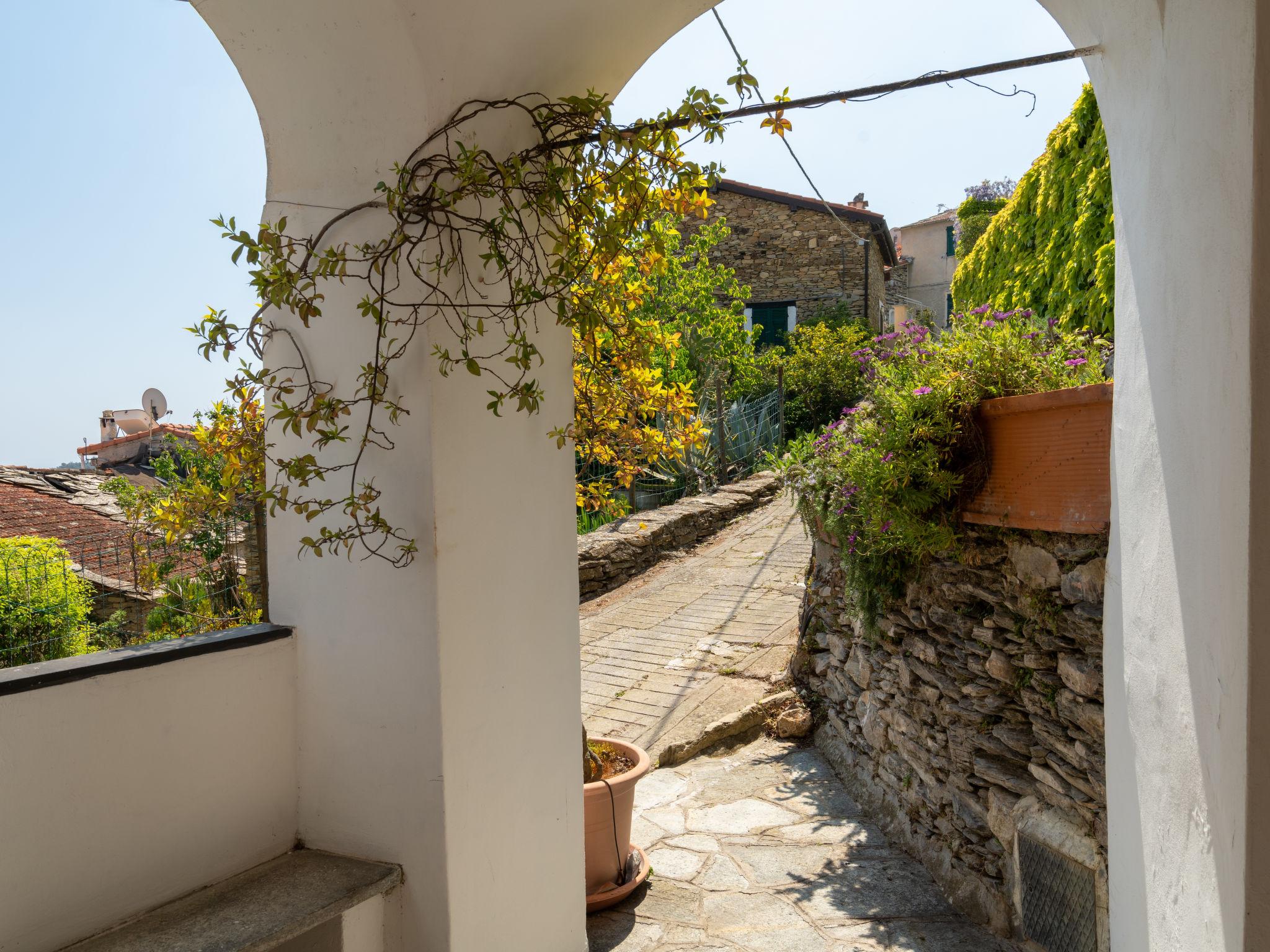 Photo 26 - 4 bedroom House in Dolcedo with swimming pool and garden