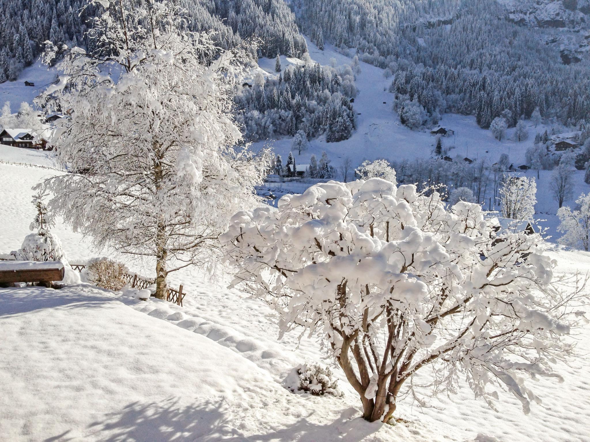 Foto 16 - Appartamento a Grindelwald con giardino