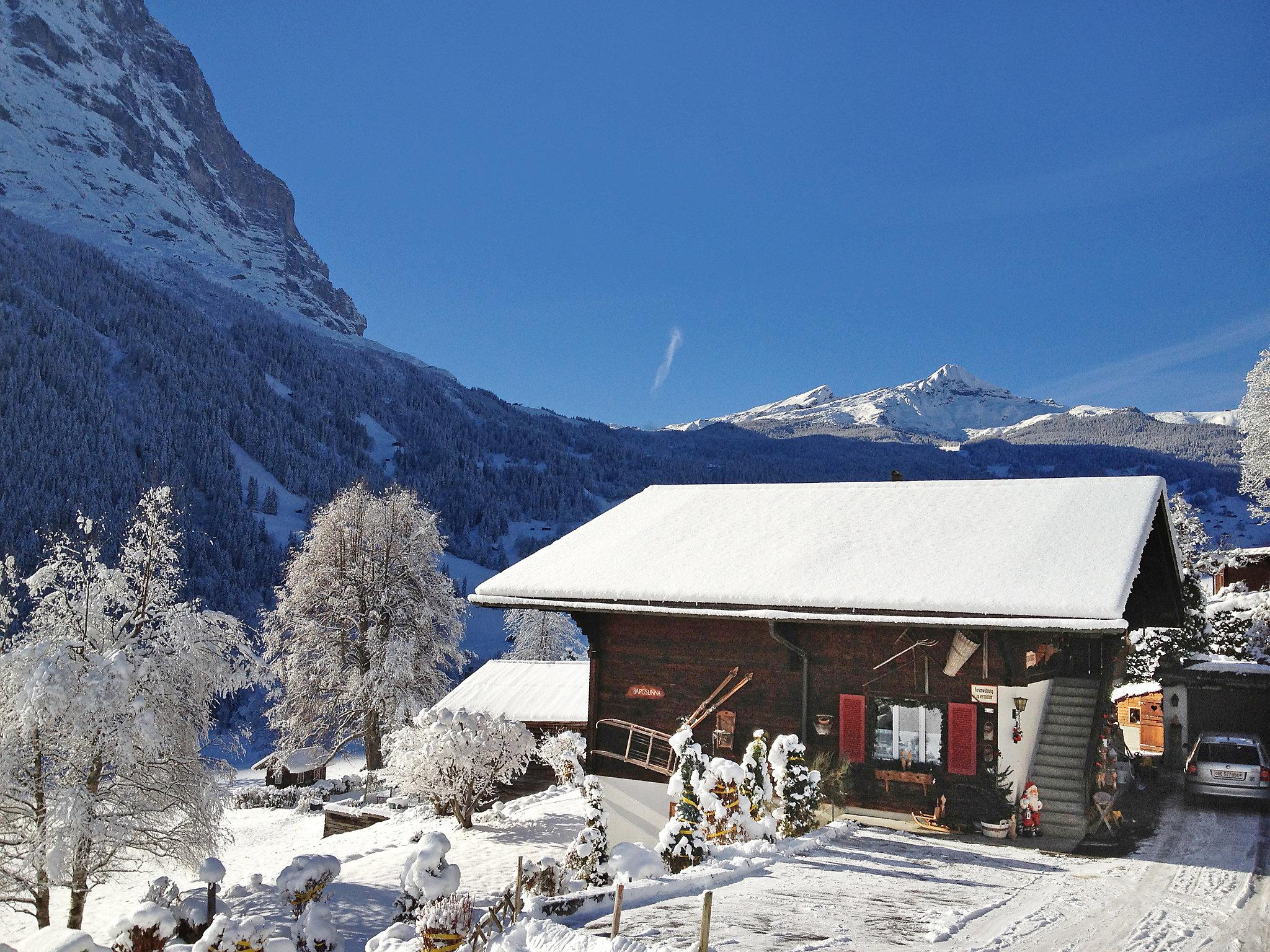 Foto 14 - Apartamento em Grindelwald com jardim e vista para a montanha