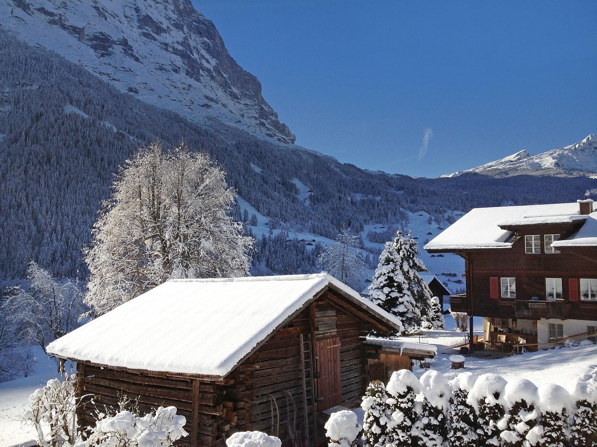 Foto 16 - Apartamento de 1 habitación en Grindelwald con vistas a la montaña