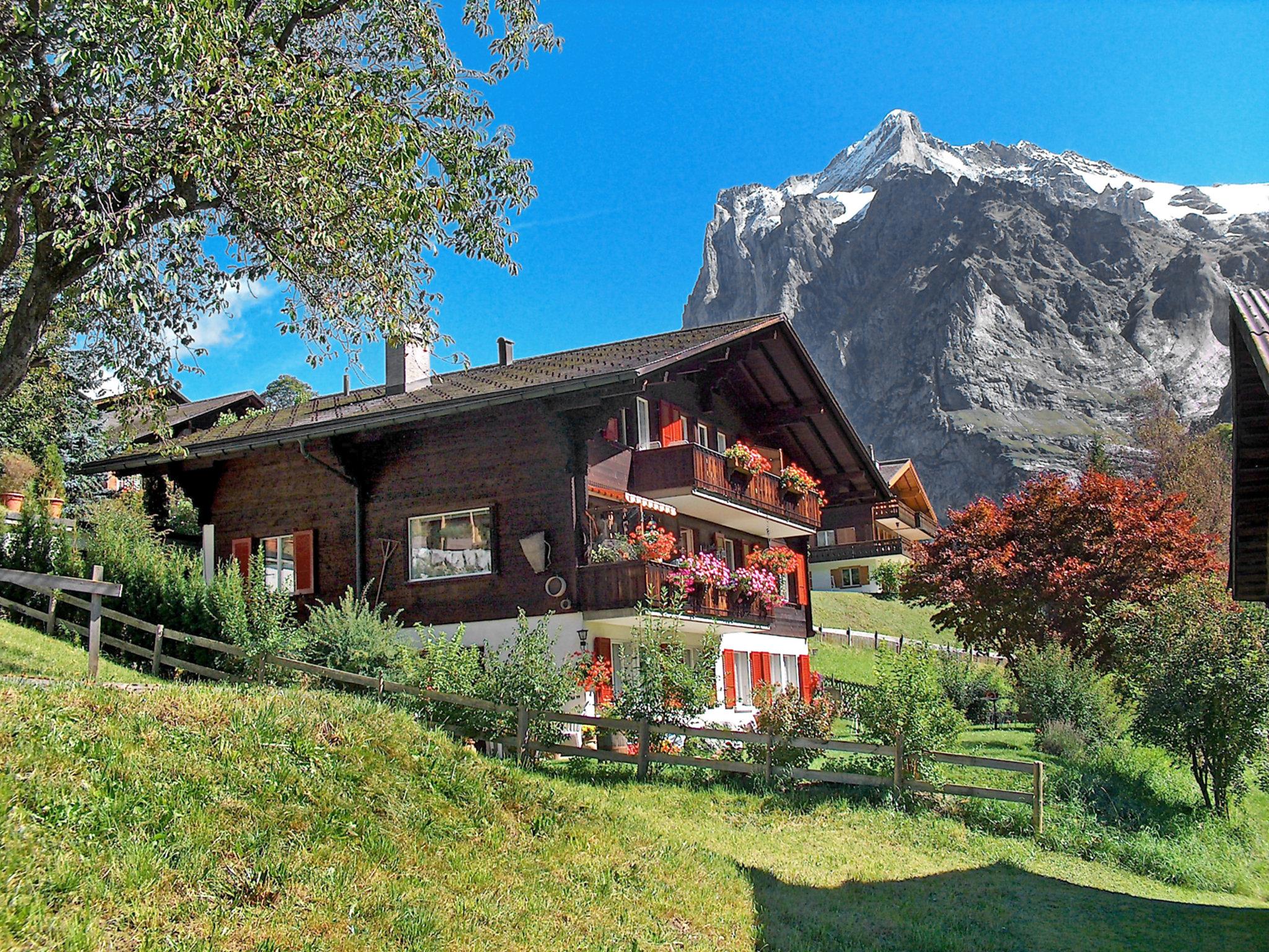 Foto 1 - Apartamento de 1 habitación en Grindelwald con jardín