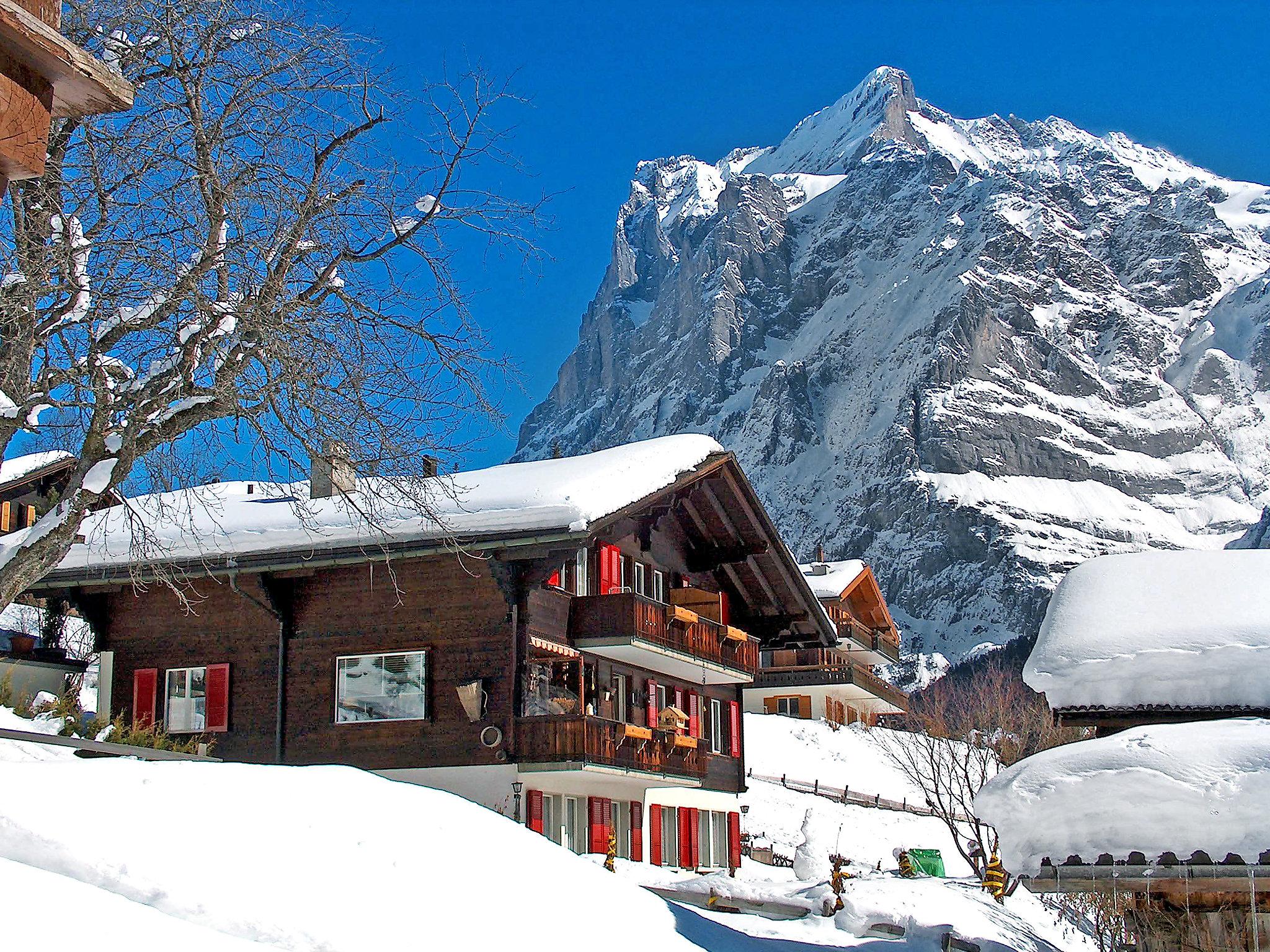 Photo 14 - Appartement de 1 chambre à Grindelwald avec vues sur la montagne