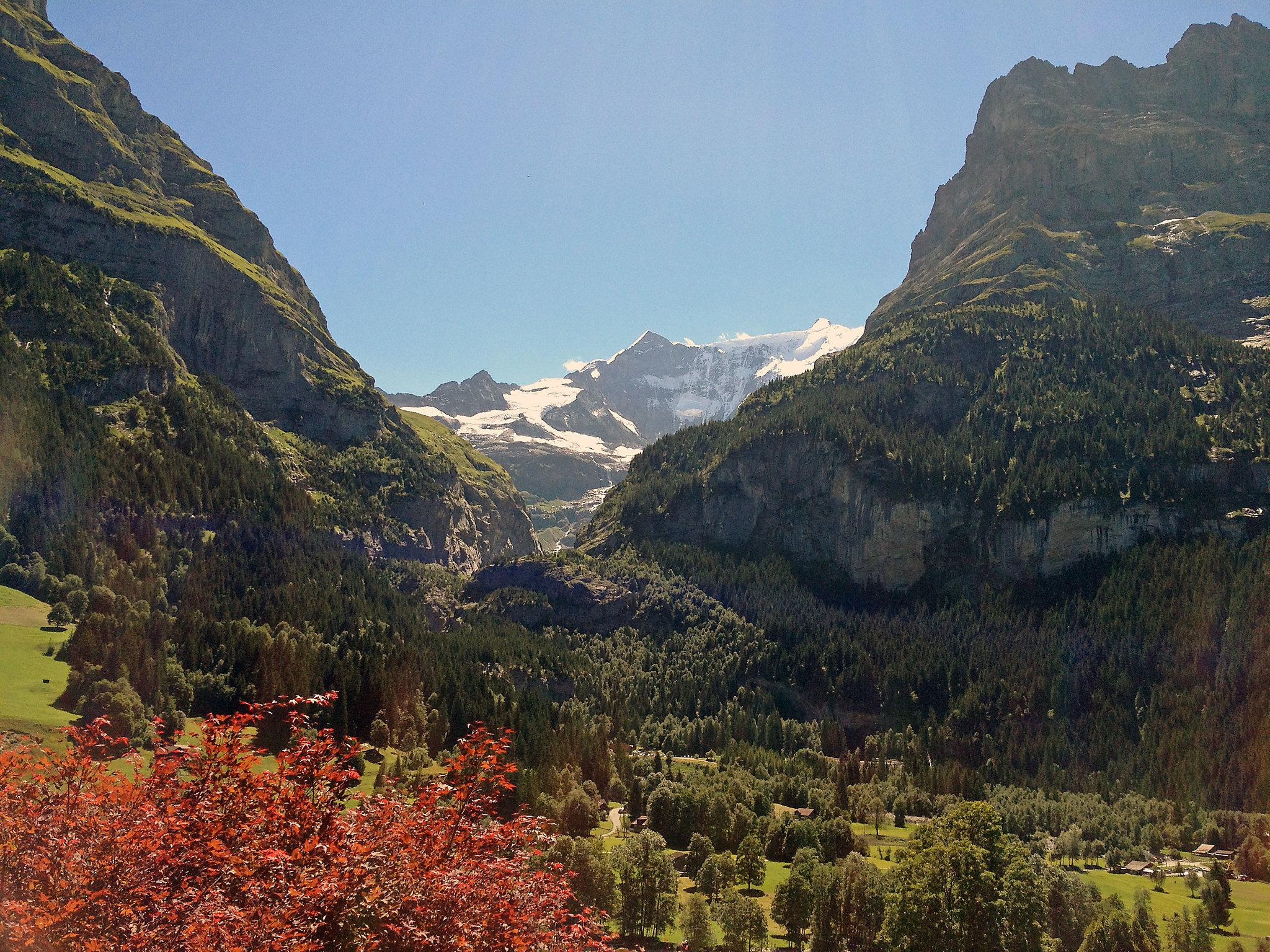 Foto 5 - Apartamento em Grindelwald com jardim e vista para a montanha