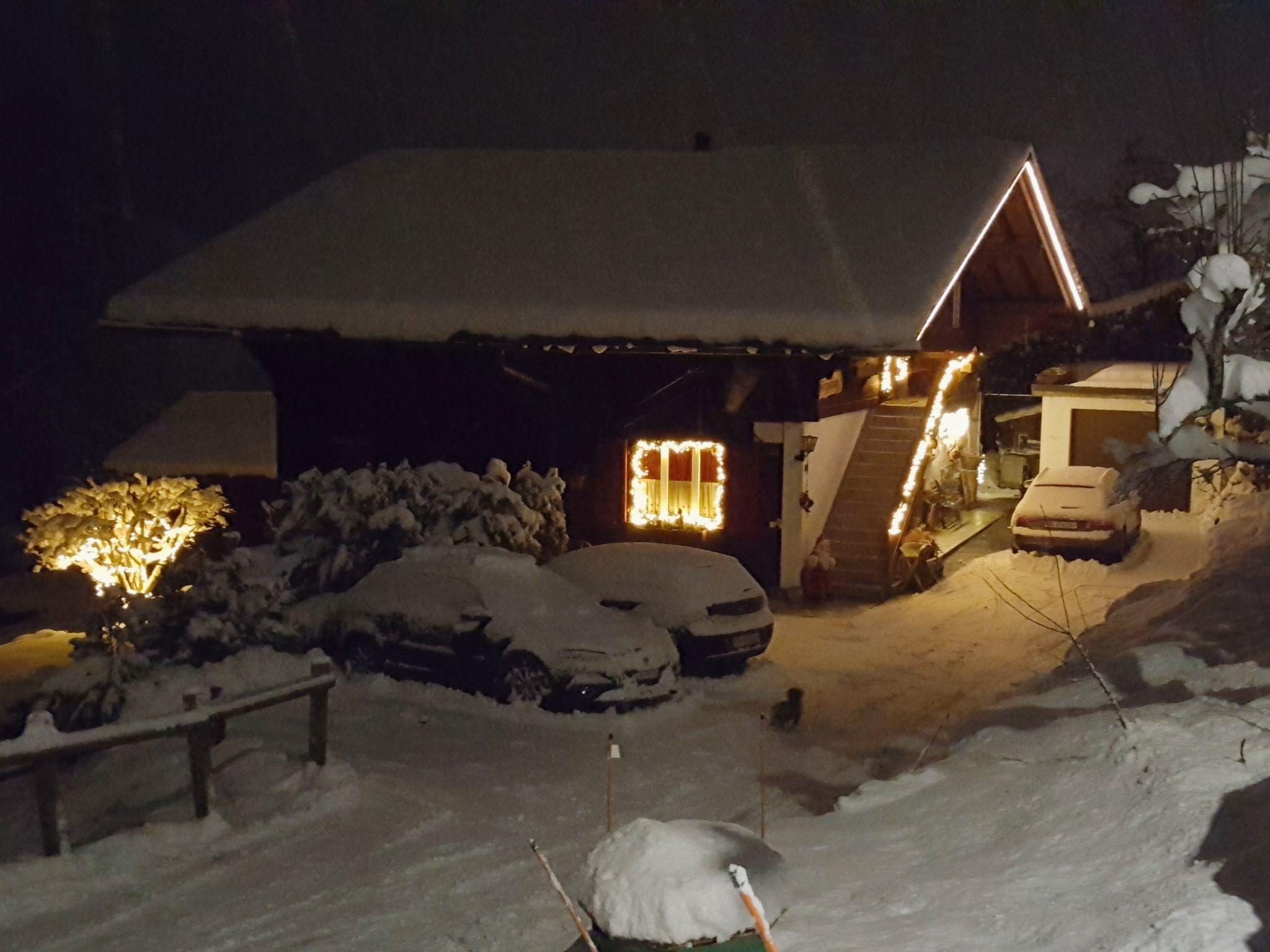 Photo 17 - Appartement en Grindelwald avec jardin