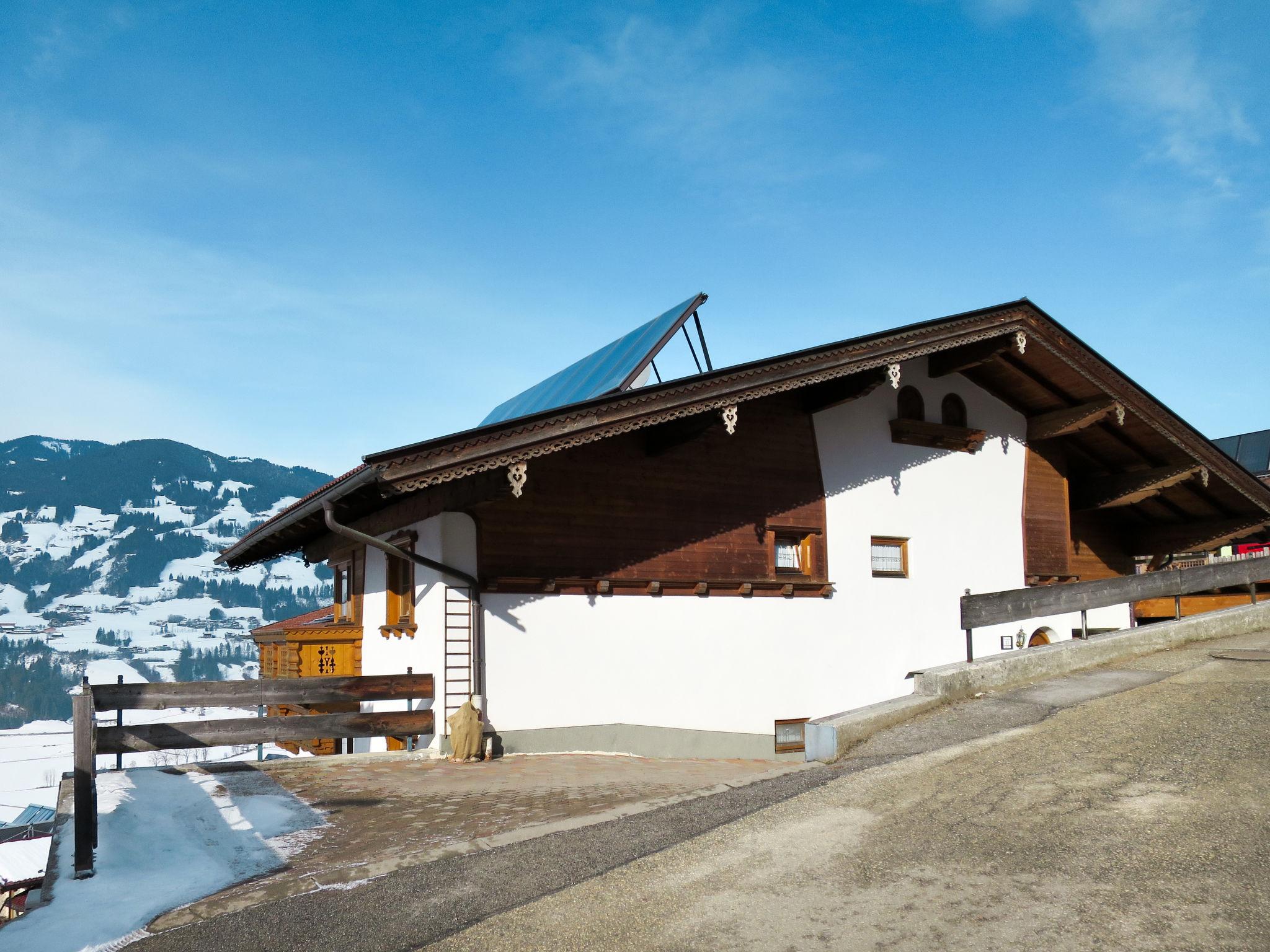 Foto 20 - Appartamento con 1 camera da letto a Hart im Zillertal con giardino e terrazza