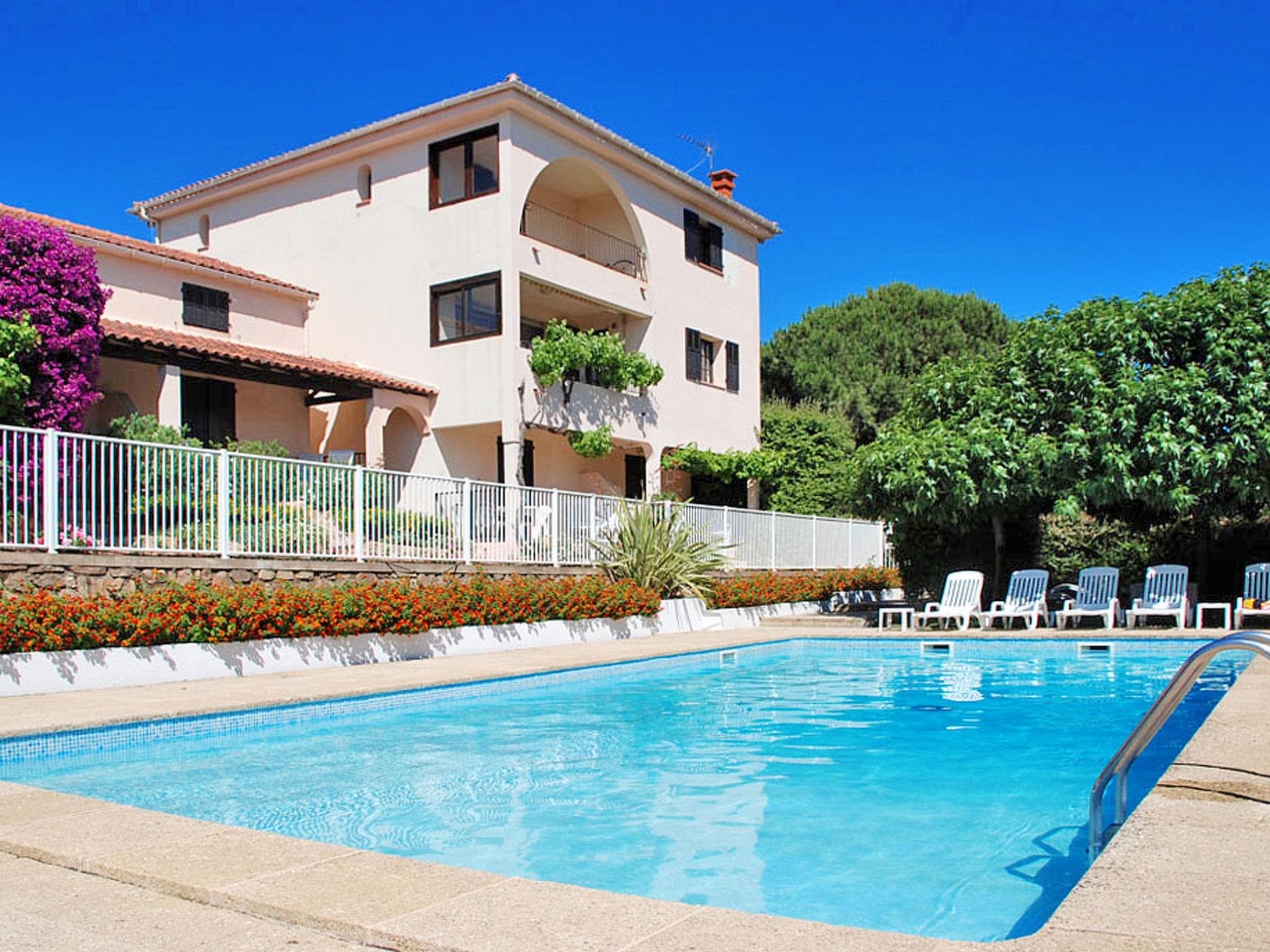 Photo 19 - 1 bedroom Apartment in Propriano with swimming pool and garden