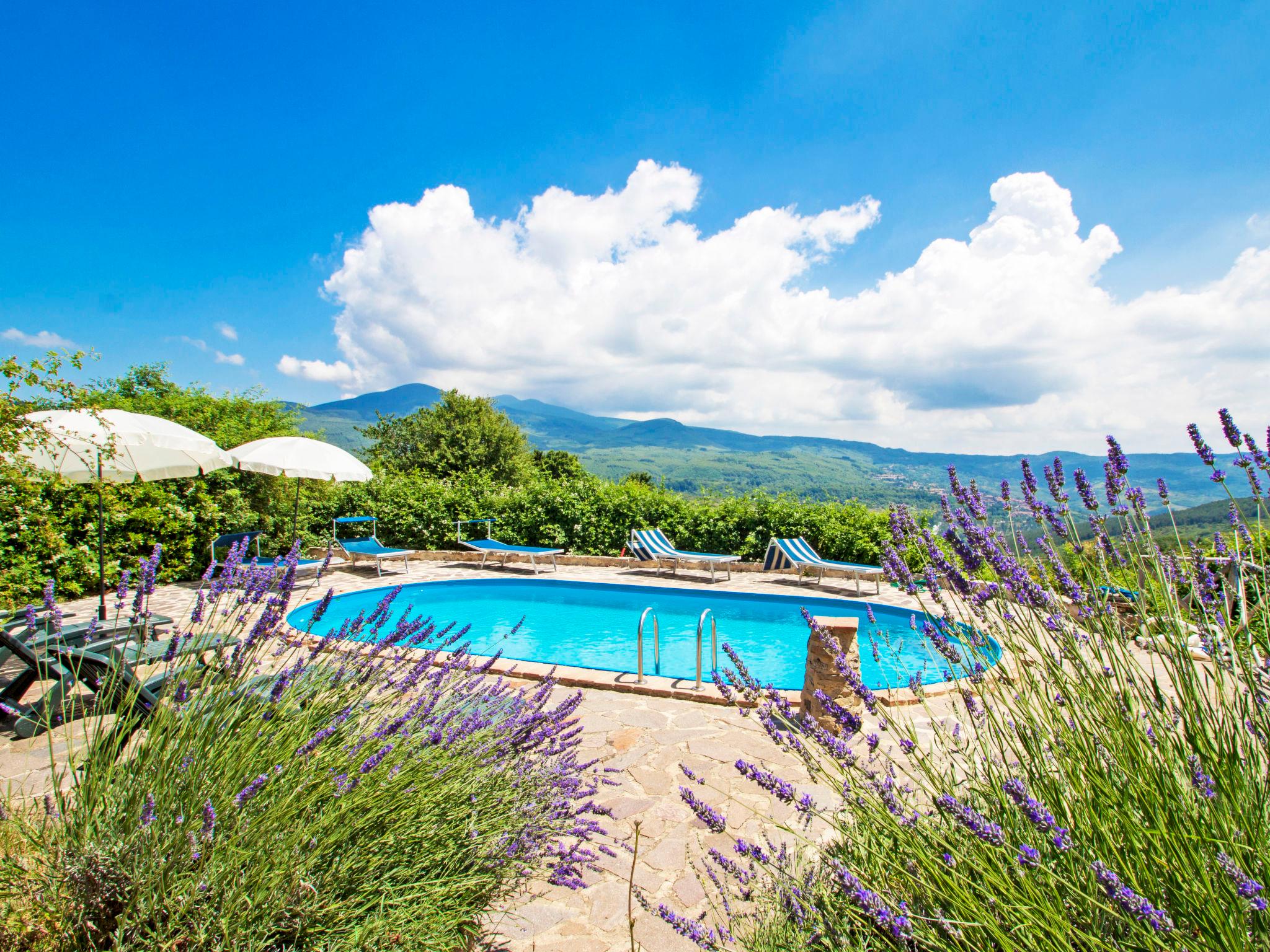 Foto 2 - Apartamento de 2 quartos em Santa Fiora com piscina e jardim