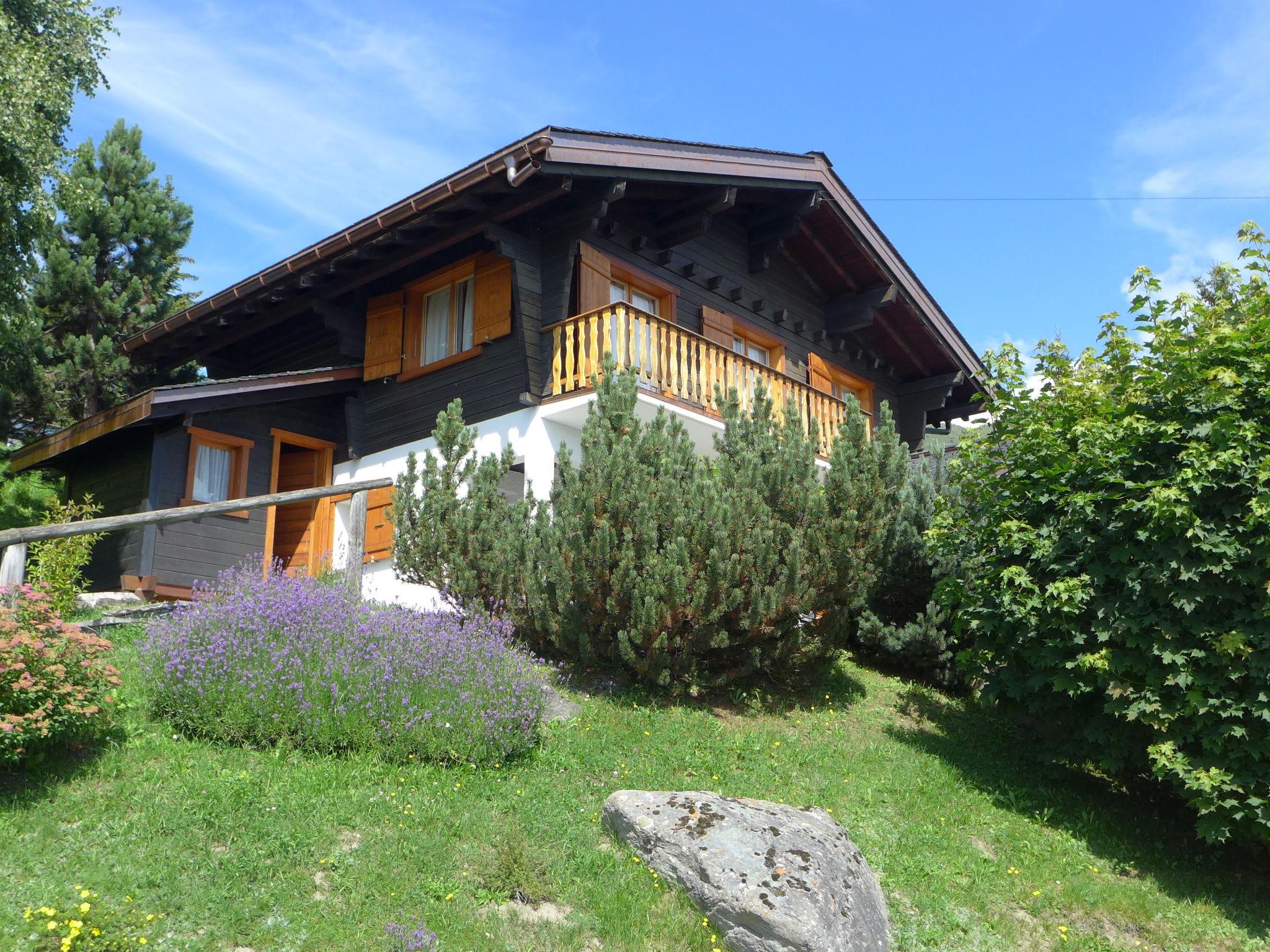 Foto 1 - Casa de 4 habitaciones en Val de Bagnes con jardín y vistas a la montaña