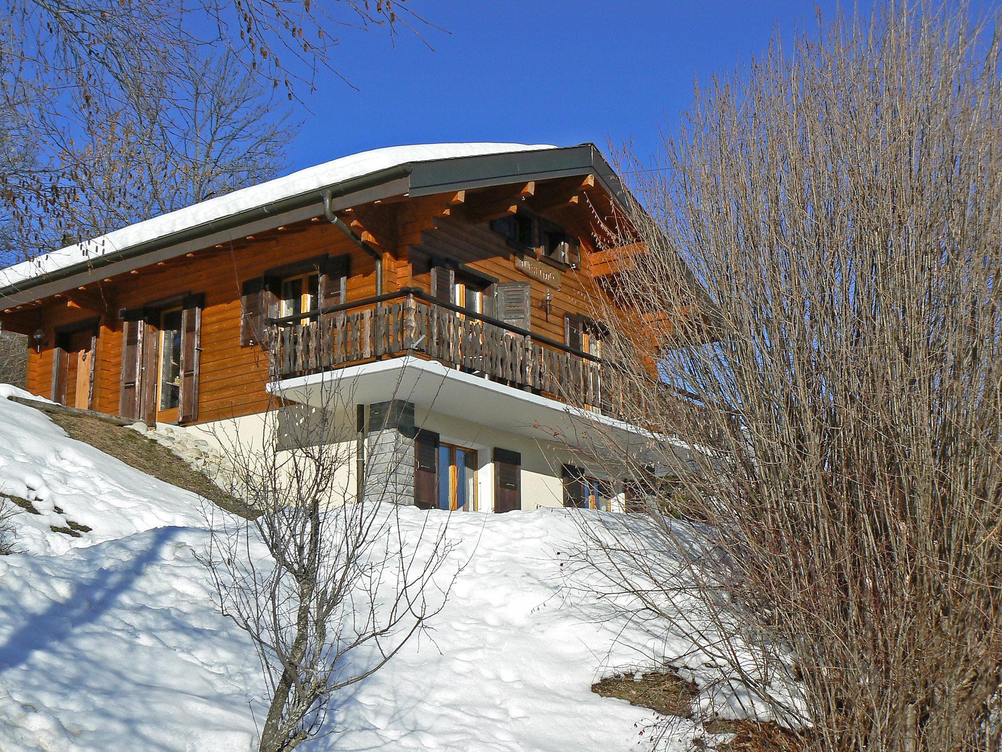 Photo 34 - Maison de 3 chambres à Leytron avec jardin et terrasse