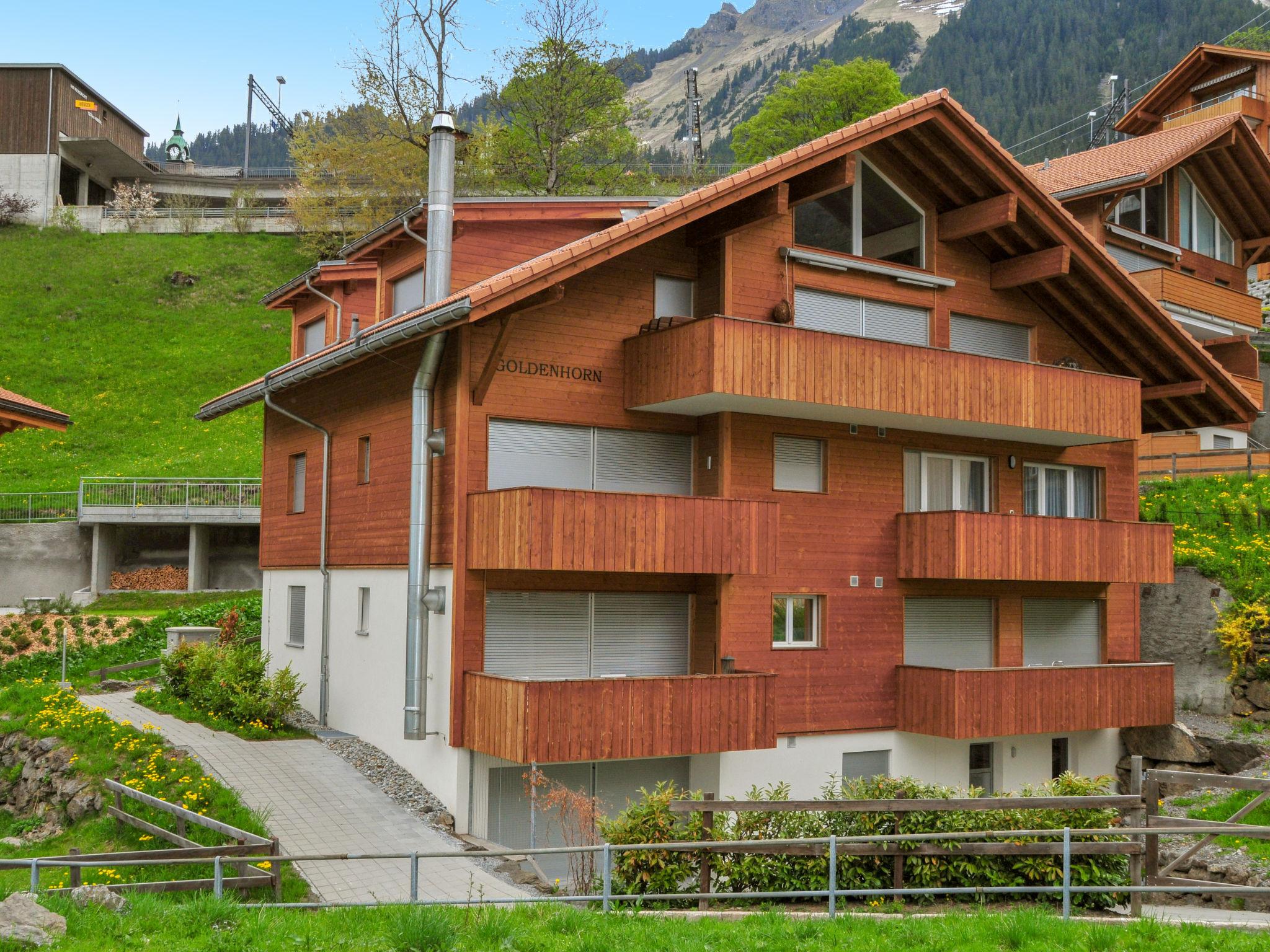 Foto 9 - Apartamento de 2 habitaciones en Lauterbrunnen con vistas a la montaña