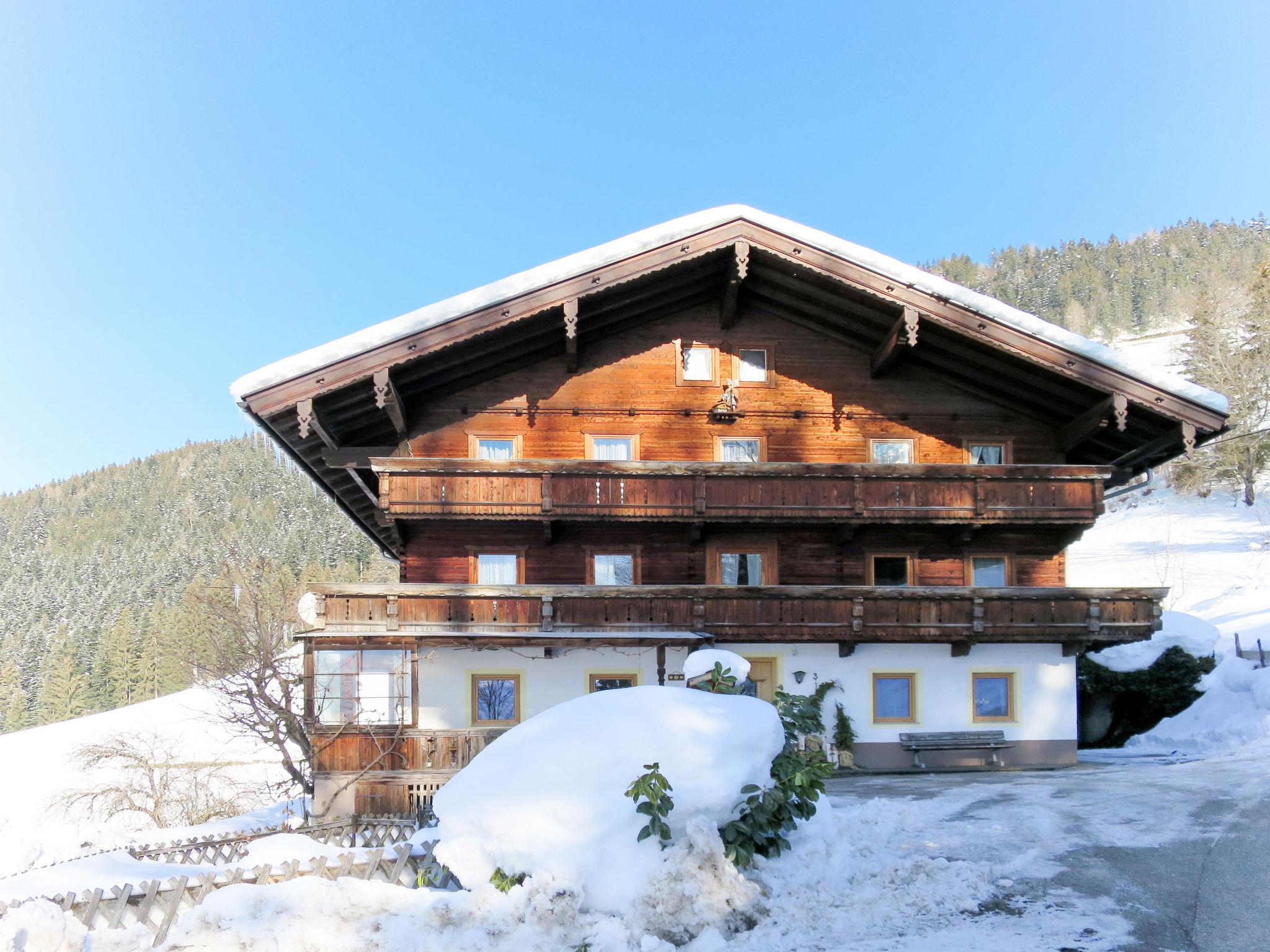 Photo 29 - Appartement de 3 chambres à Bruck am Ziller avec vues sur la montagne