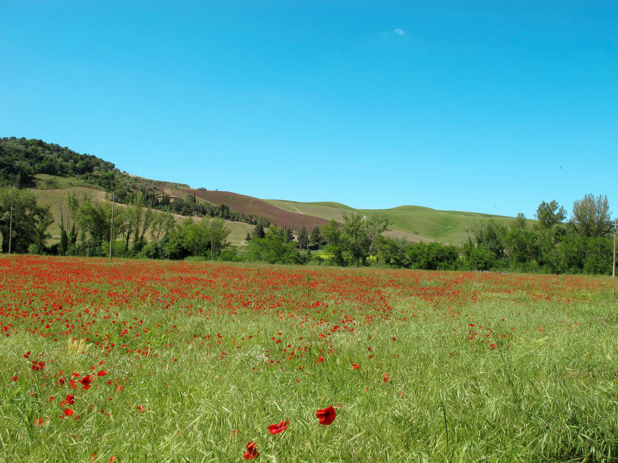 Photo 49 - 3 bedroom Apartment in Volterra with swimming pool and garden