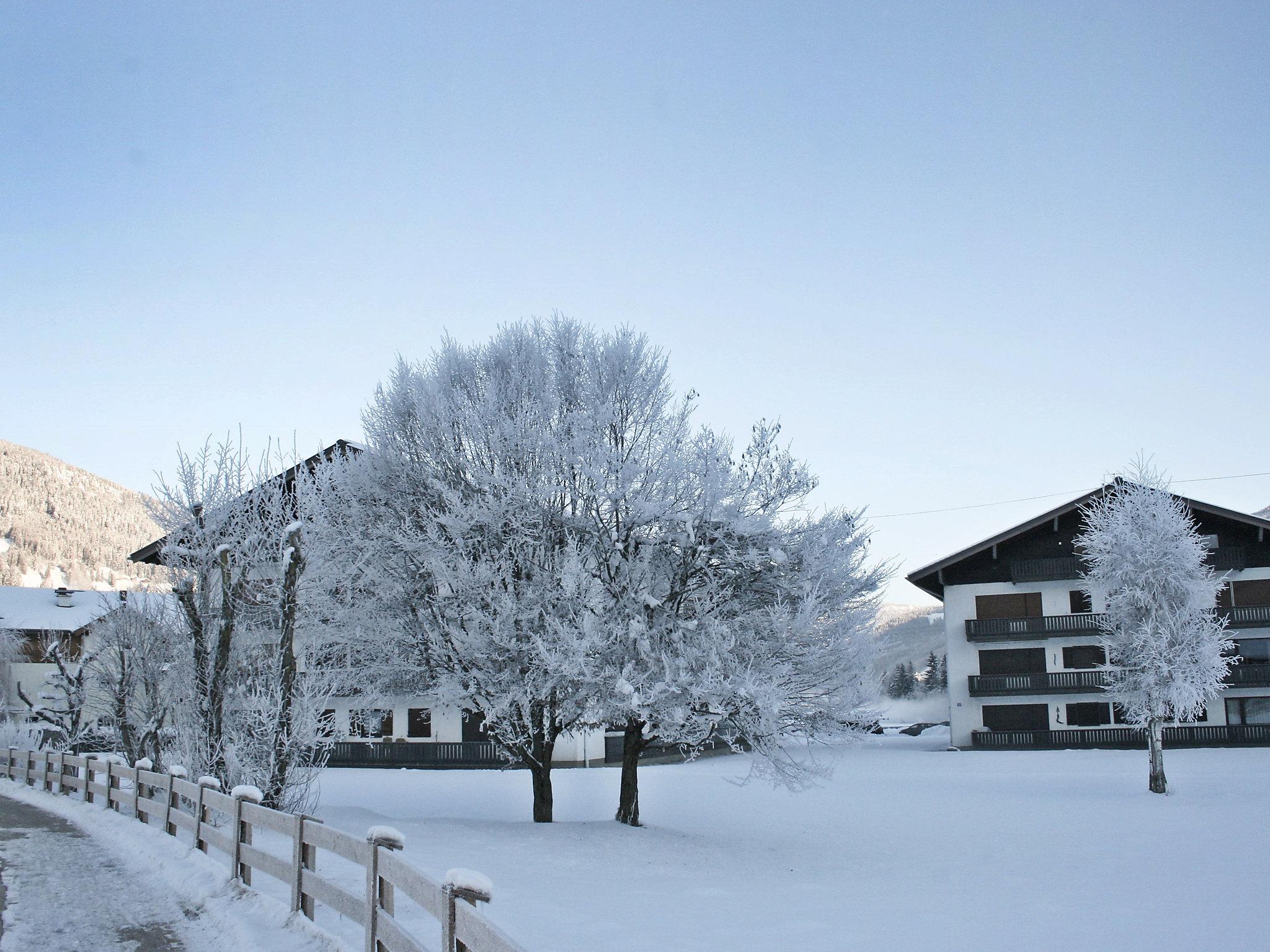 Photo 23 - Appartement de 1 chambre à Flachau avec jardin et vues sur la montagne