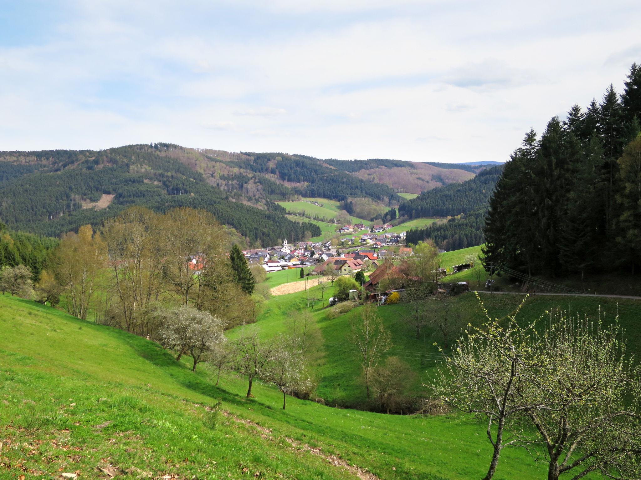 Photo 27 - Maison de 1 chambre à Hofstetten avec jardin et vues sur la montagne