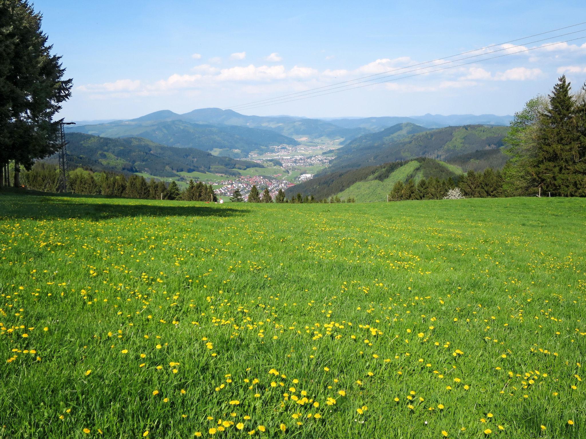 Photo 30 - Appartement de 2 chambres à Hofstetten avec jardin et vues sur la montagne