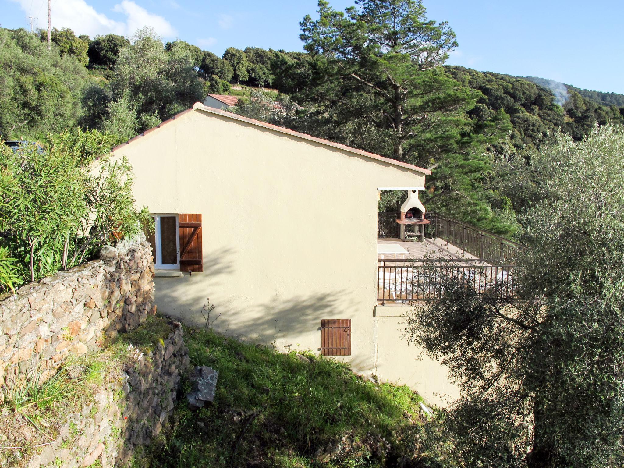 Photo 3 - Appartement en Partinello avec jardin et terrasse