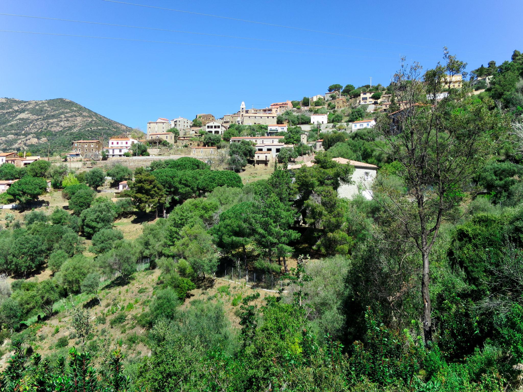 Foto 5 - Appartamento a Partinello con giardino e terrazza