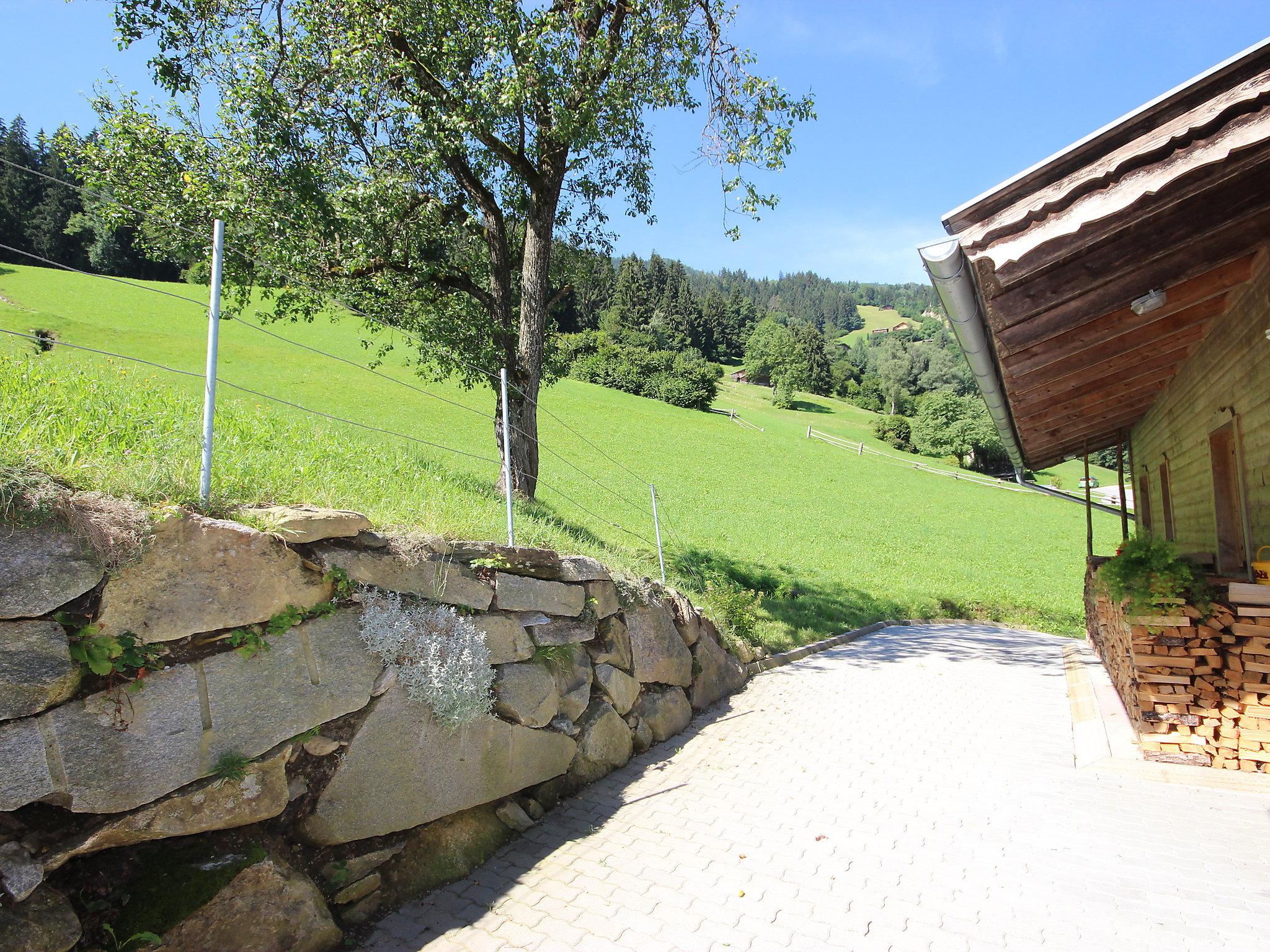 Photo 13 - Maison de 2 chambres à Aschau im Zillertal avec terrasse et vues sur la montagne