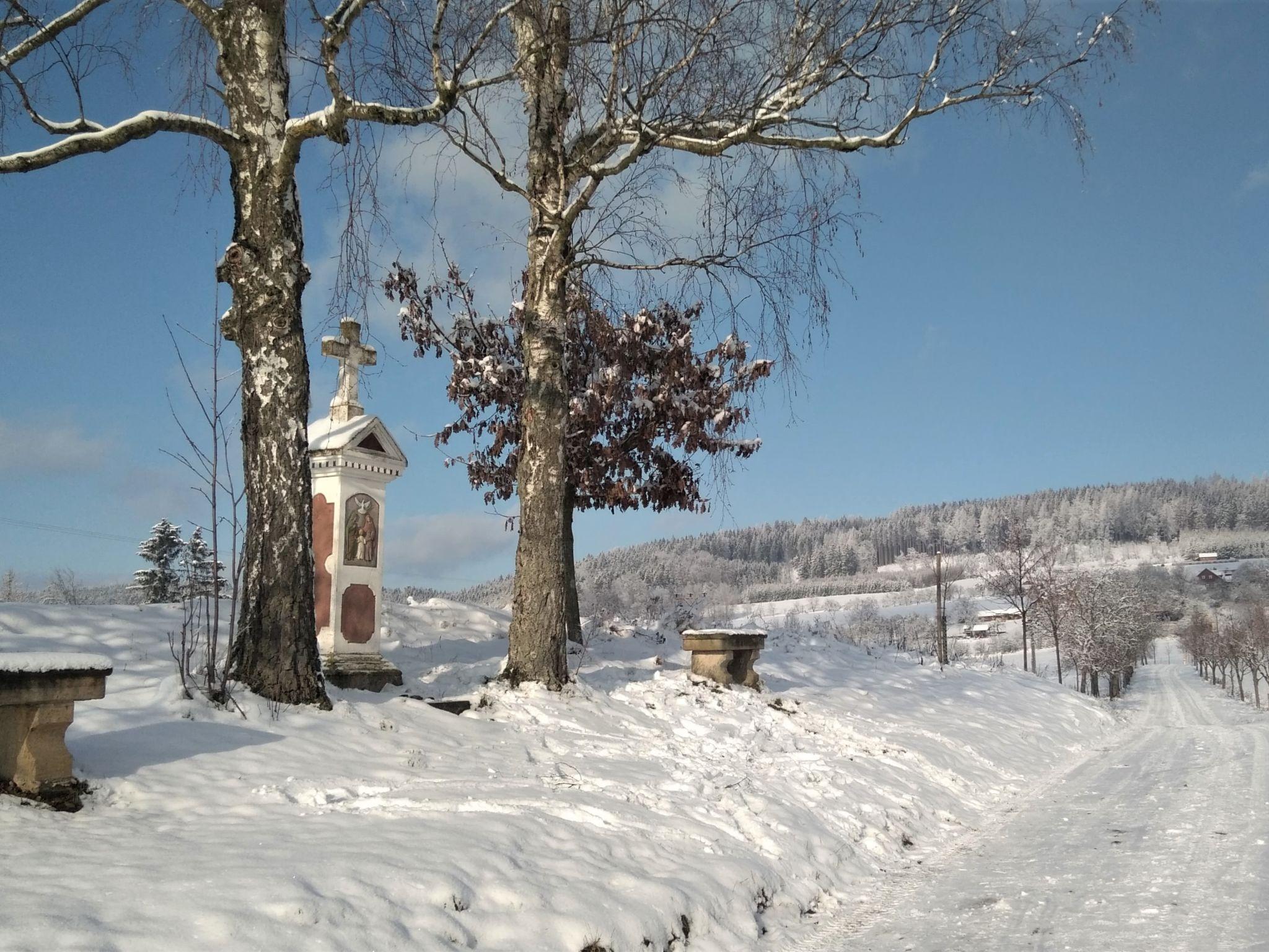 Foto 52 - Casa de 7 habitaciones en Úhlejov con piscina privada y vistas a la montaña