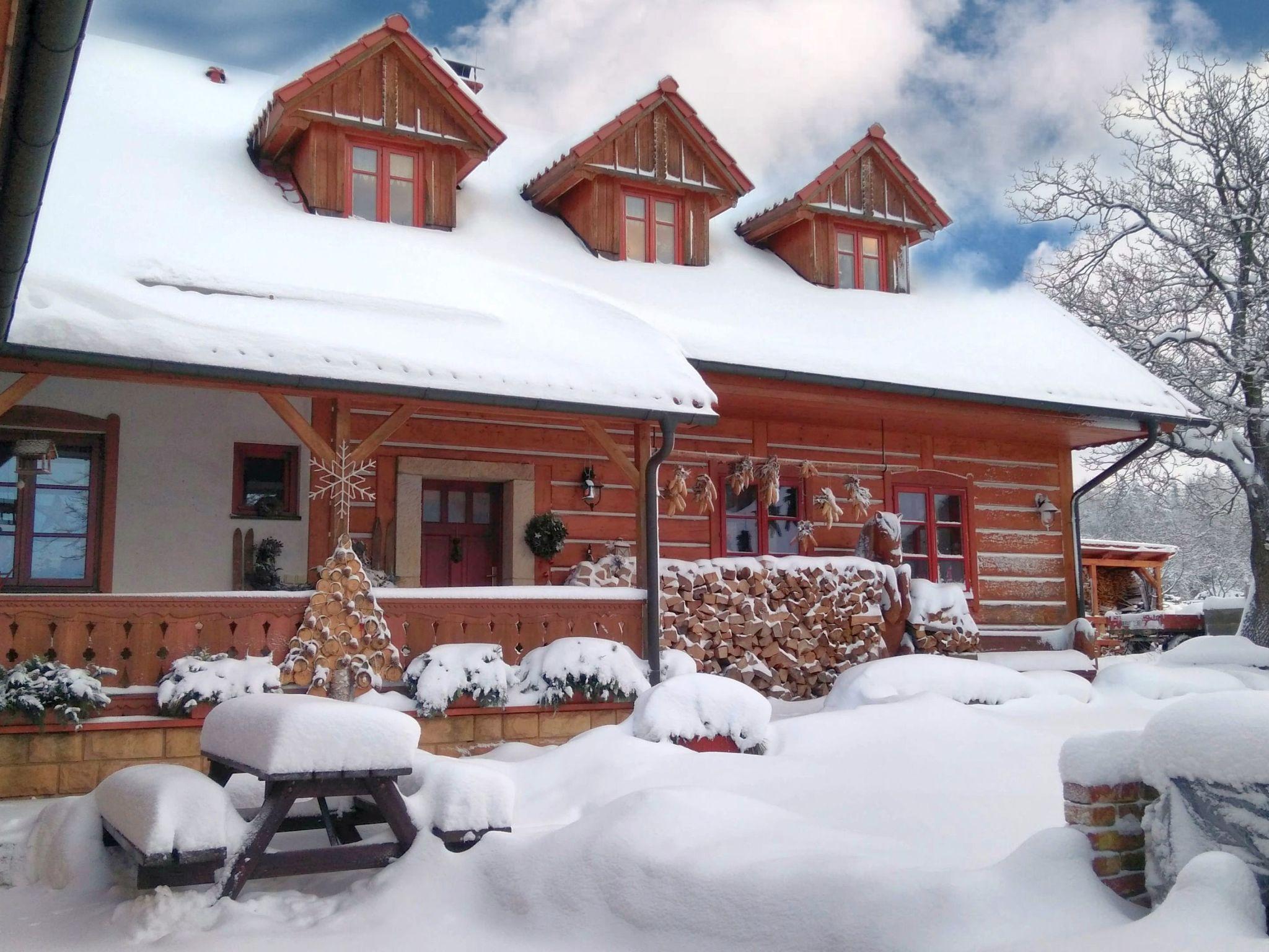 Foto 46 - Casa de 7 habitaciones en Úhlejov con piscina privada y vistas a la montaña