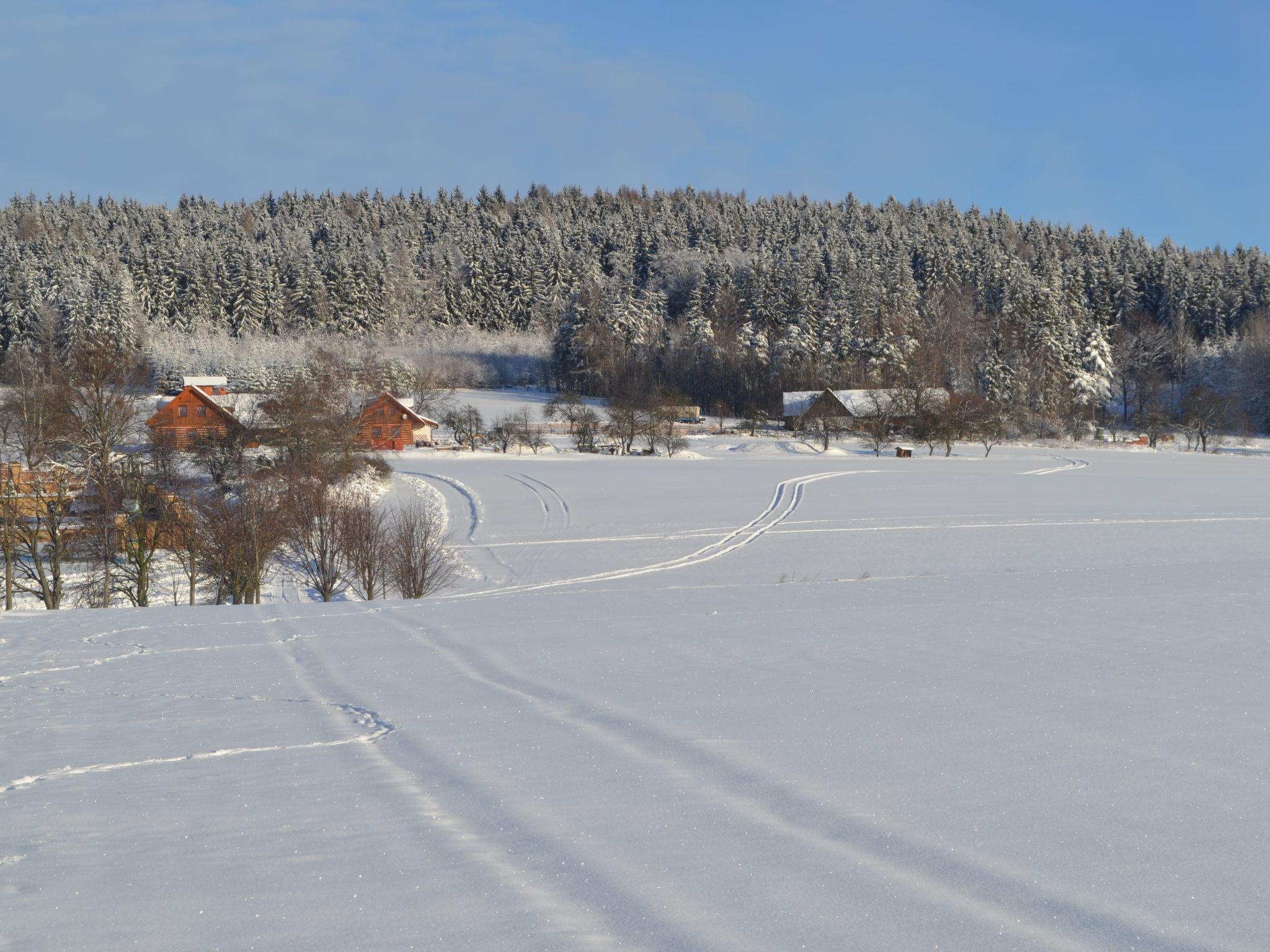 Foto 54 - Haus mit 7 Schlafzimmern in Úhlejov mit privater pool und blick auf die berge