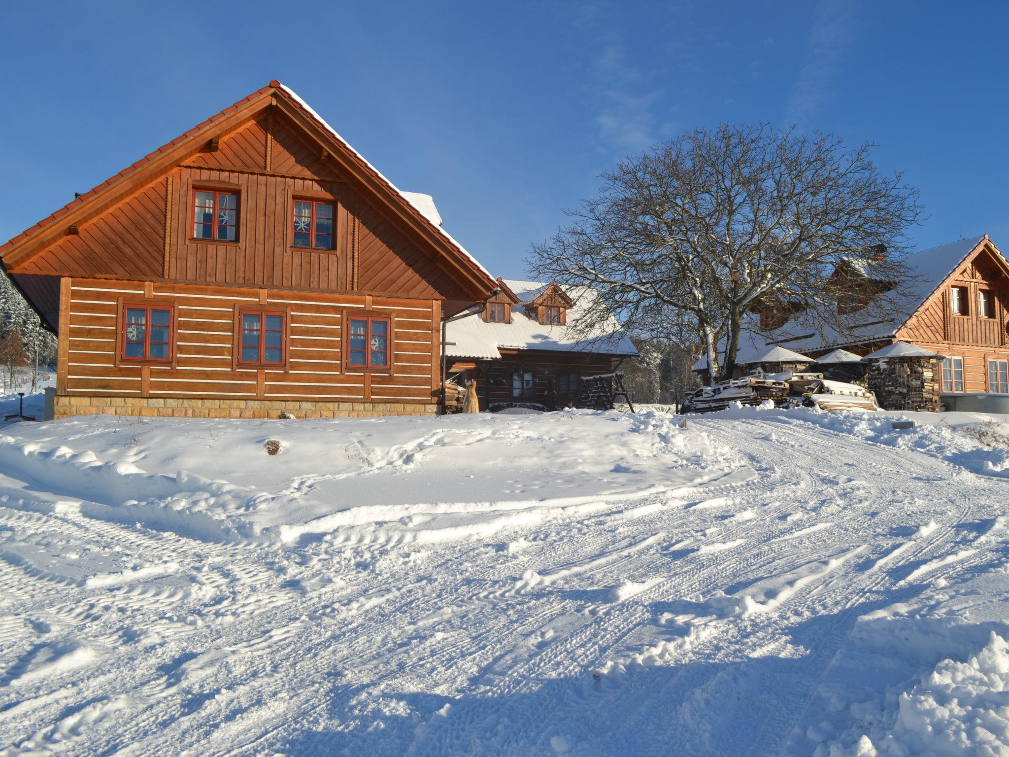 Foto 48 - Casa de 7 quartos em Úhlejov com piscina privada e vista para a montanha