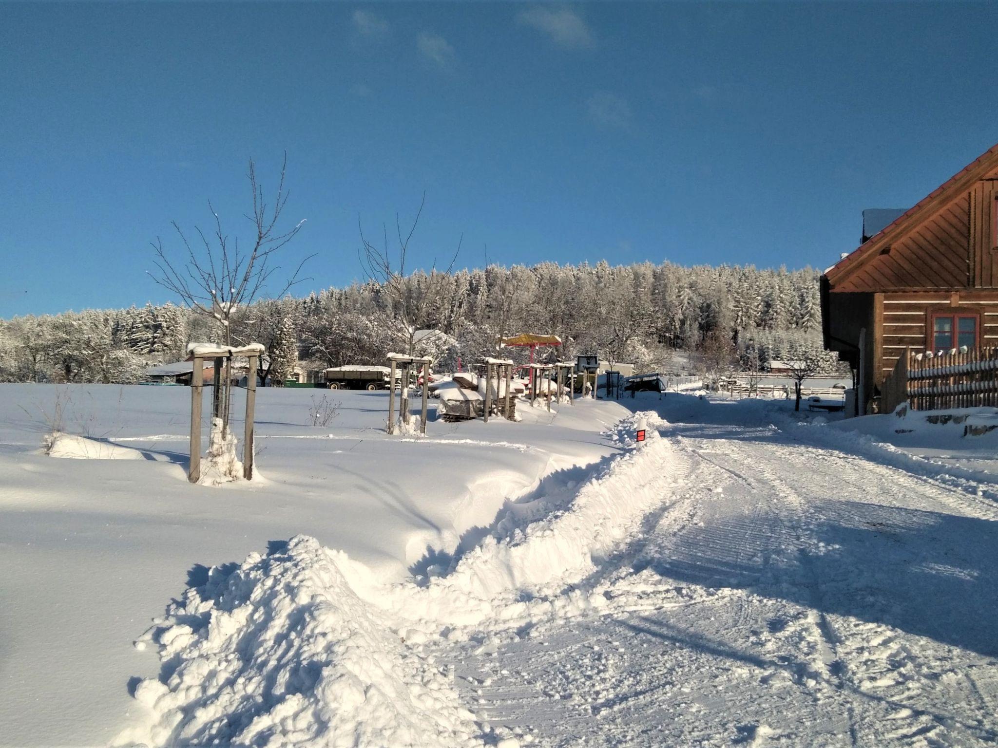 Photo 50 - 7 bedroom House in Úhlejov with private pool and mountain view